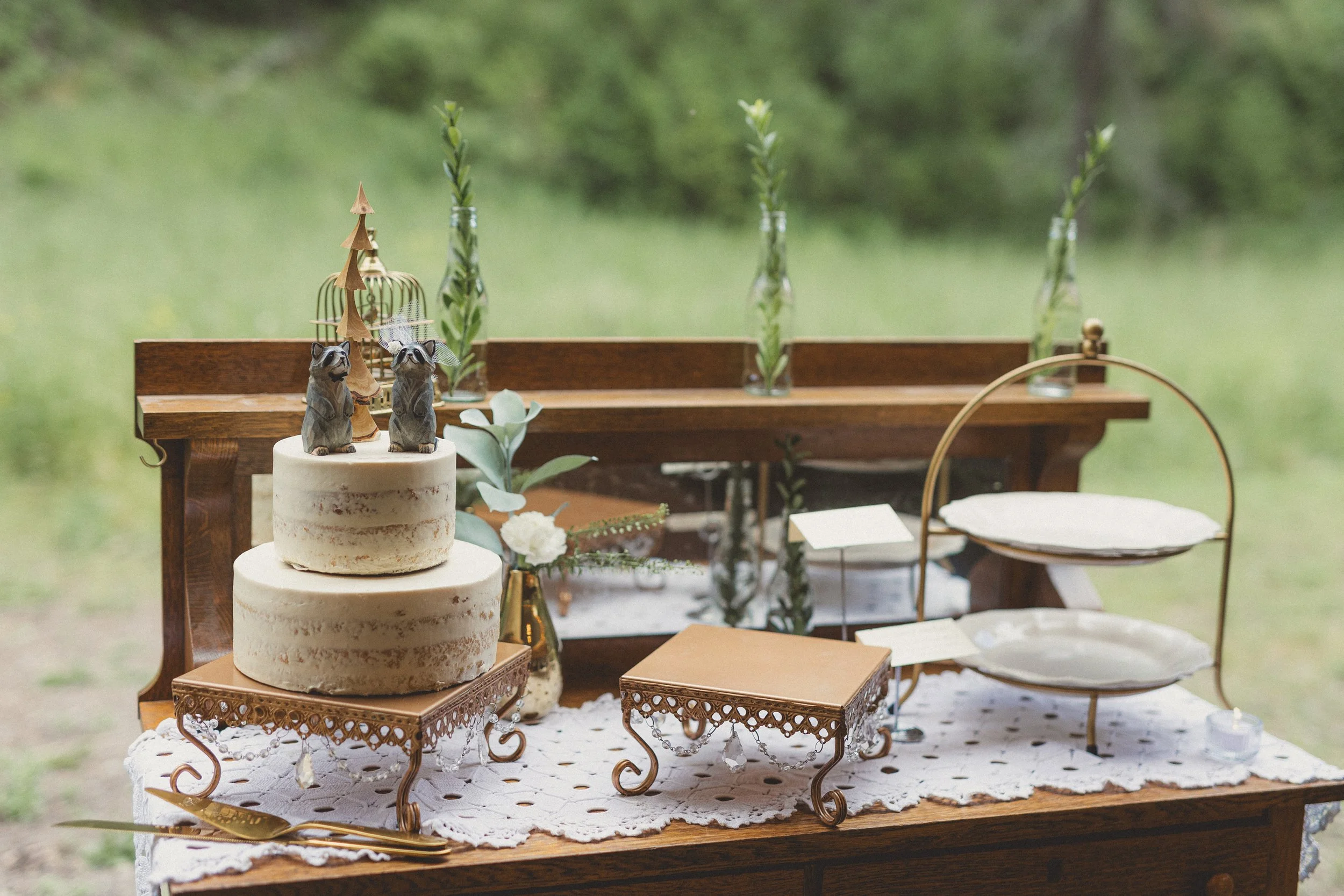 A rustic outdoor dessert table featuring a two-tiered naked cake decorated with raccoon figurines on top, surrounded by flowers in vases, set on a lace tablecloth with vintage-style cake stands and platters, with a wooden backdrop and greenery in the