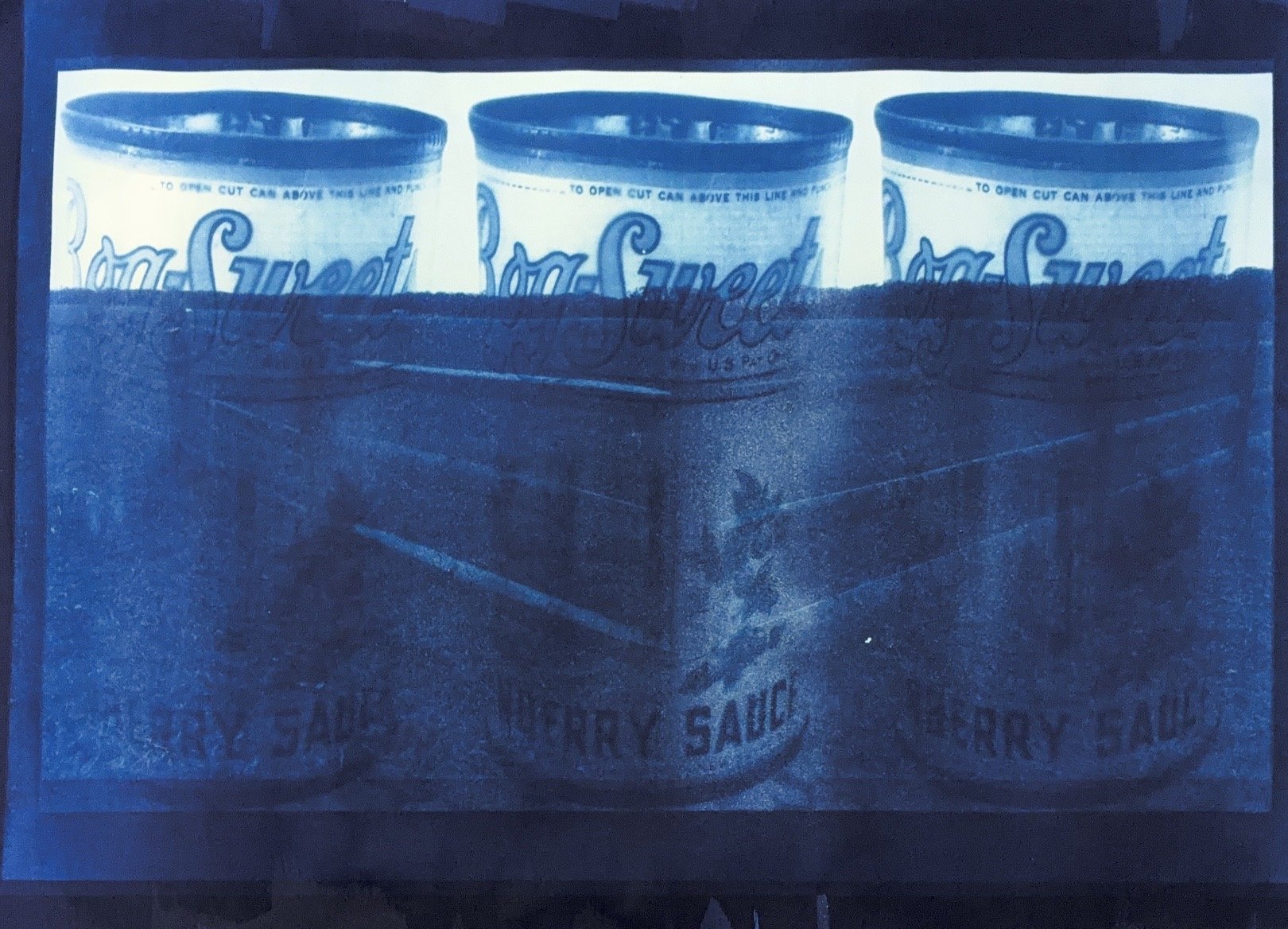 New Egypt Cranberry Sauce Cyanotype 16x20 Poster