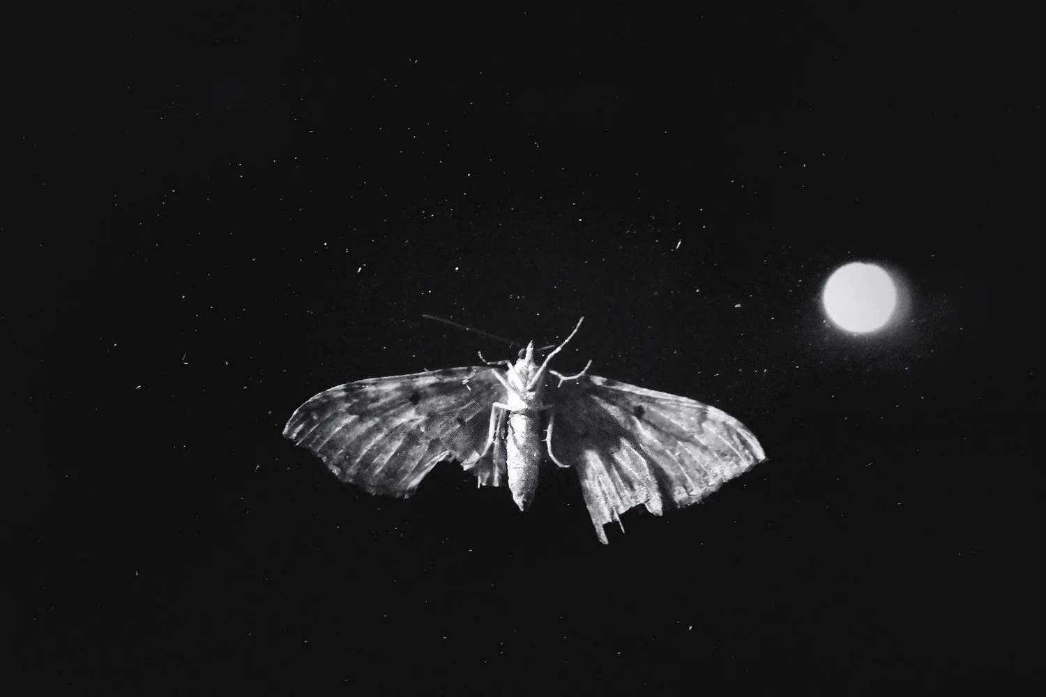 The Imaginary Camera