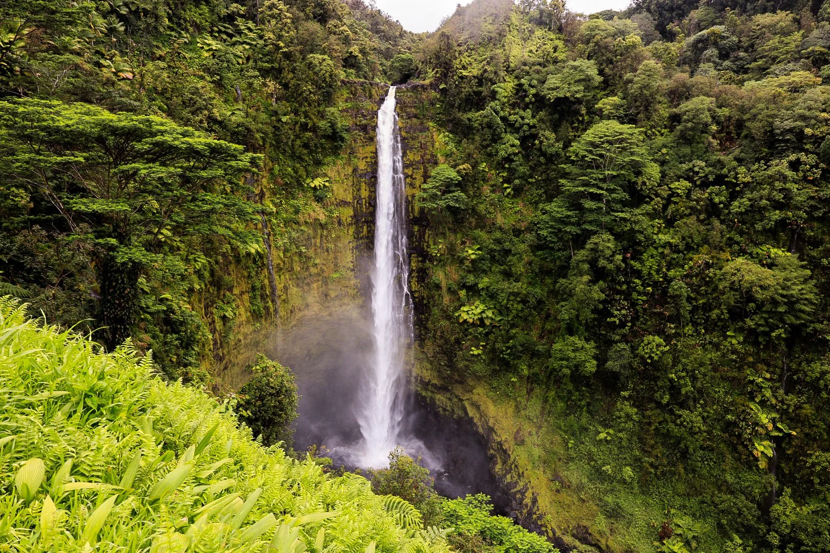 Akaka Falls 8x8 Acrylic Glass Print