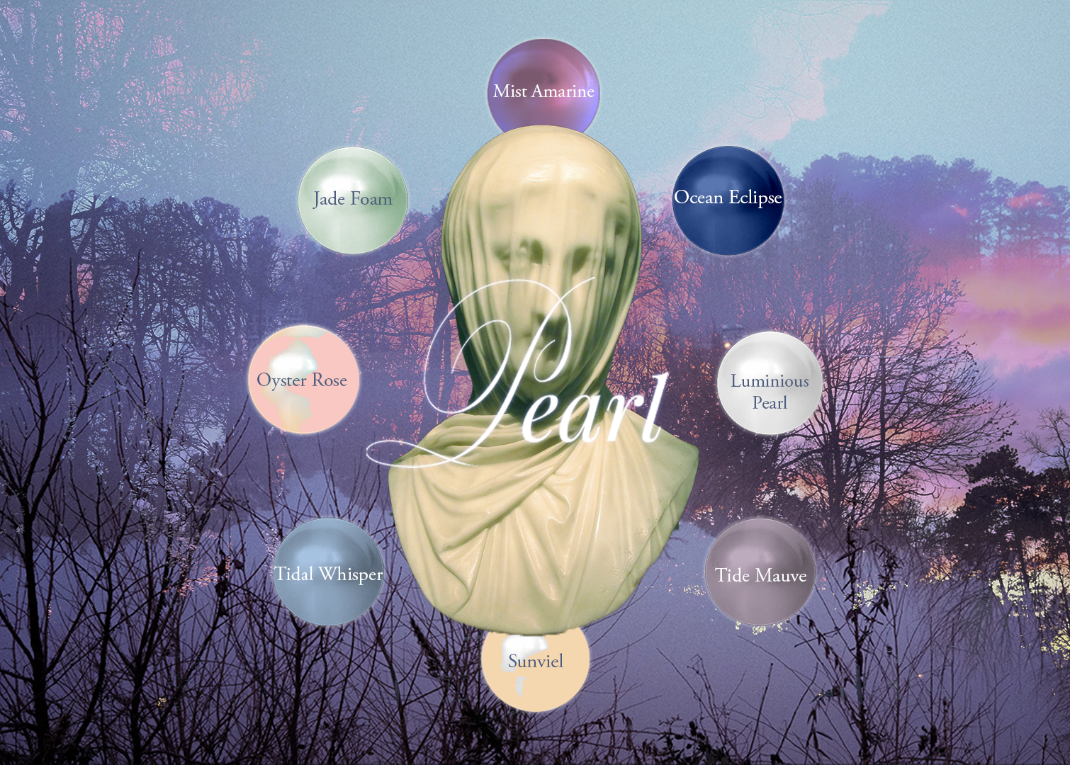 Abalone-Final Package-4.png