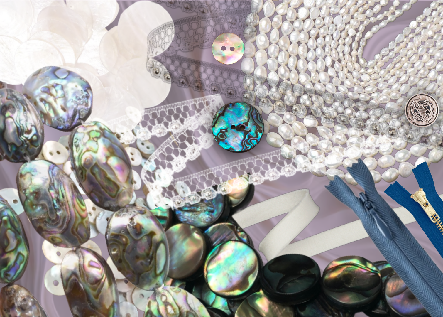 Abalone-Final Package-8.png