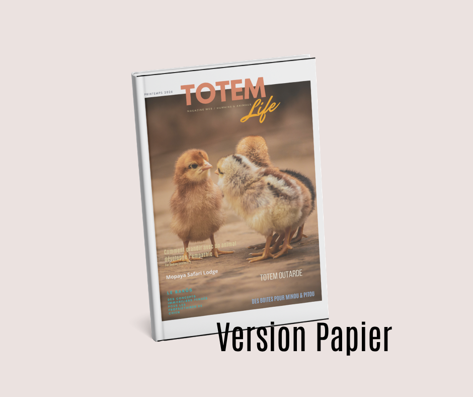 TOTEM LIFE.png