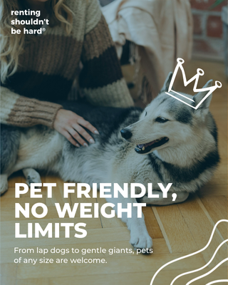 A person petting a large dog lying on the floor in a cozy indoor setting, with an illustrated crown above the dog's head. Text promotes pet-friendly, no-weight-limit rentals.