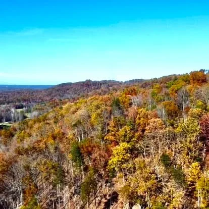 A scenic landscape of a forest in fall with colorful trees and a clear blue sky.