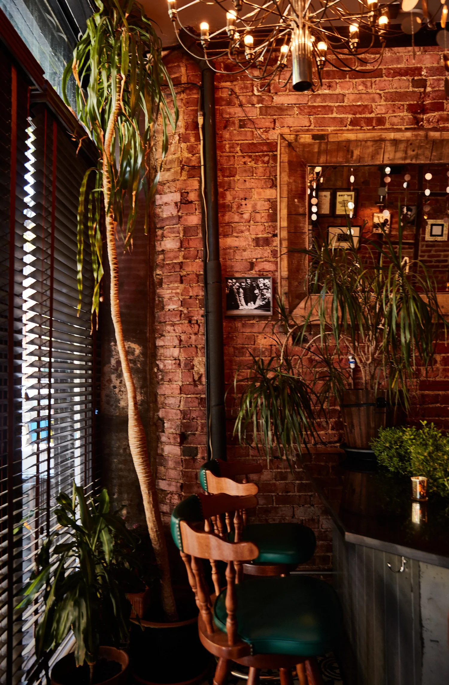Bar photo 1