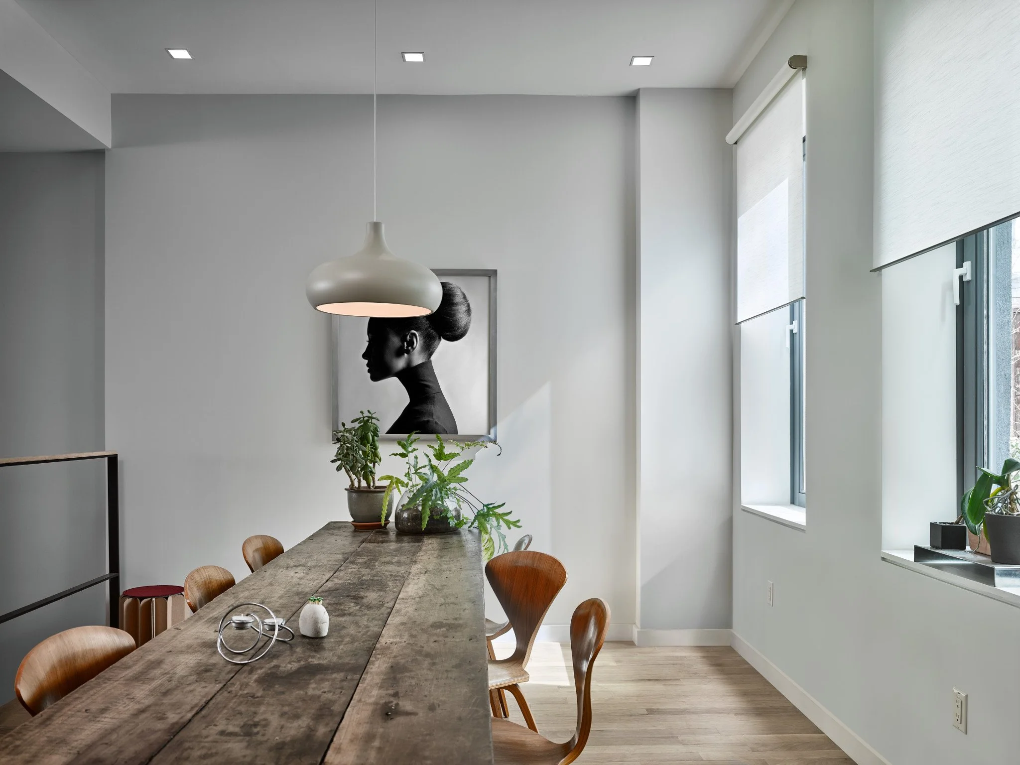 Lutron Palladiom Shades