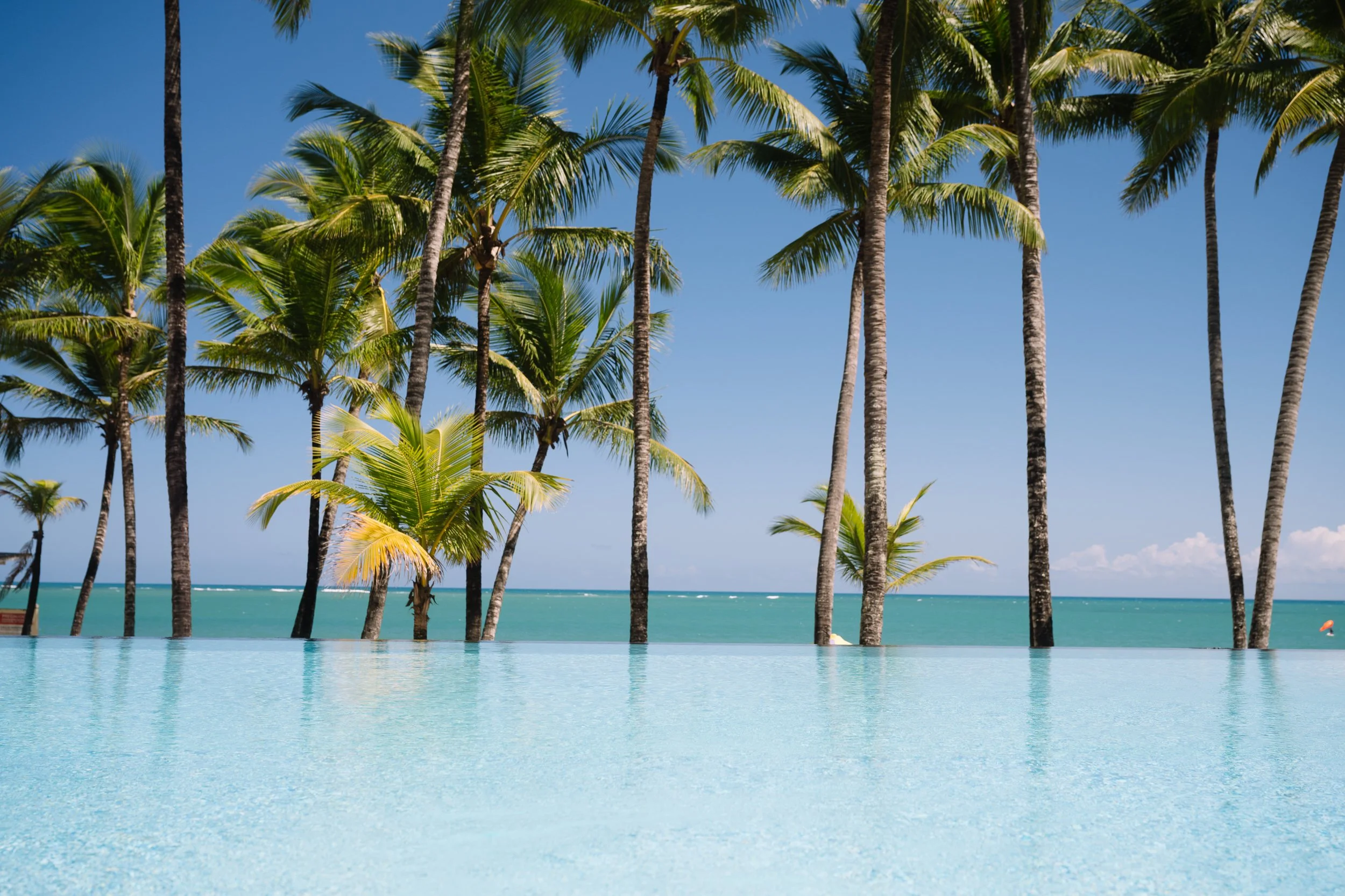 Pool with calm blue water overlooking a beach with tall palm trees under a clear blue sky.