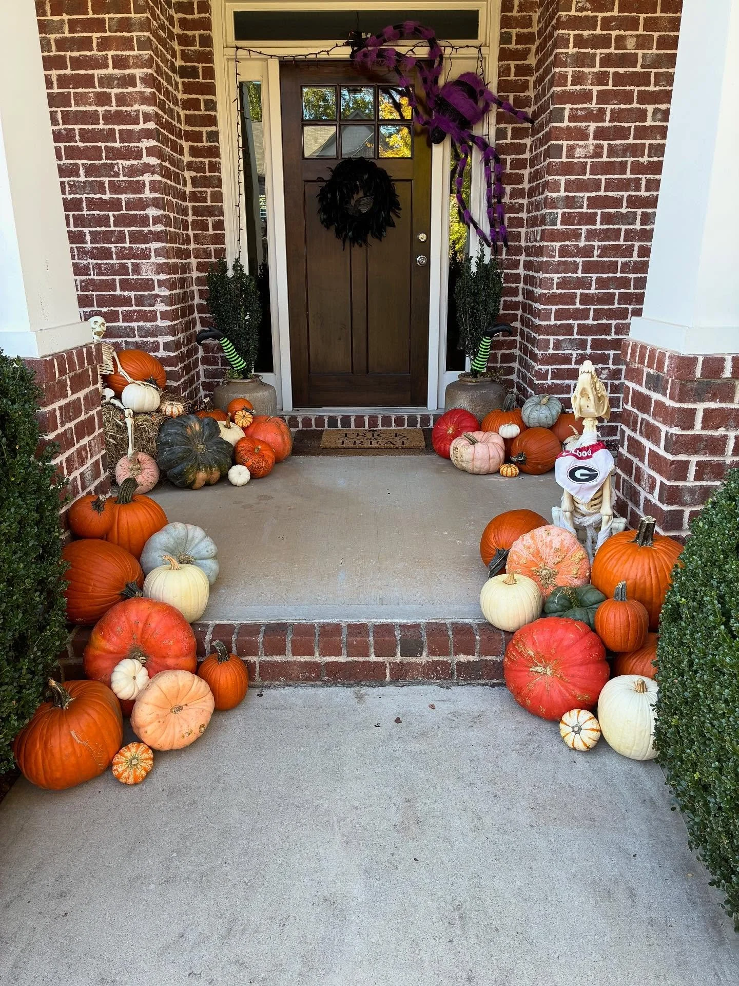 Our design service can incorporate your personal seasonal decor! #porchpumpkins #buford #pumpkinseason #fallrefresh