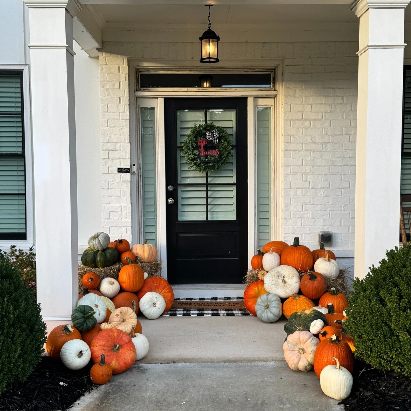 🎃🍂 Fall magic delivered straight to your doorstep! This is our Grand Harvest. 

All of our packages come with Large and Medium Jack-O-Lanterns, Dreamy Whites, Pies, Specialty Pumpkins and mini's/gourds. 

We&rsquo;ll turn your porch into the cozies