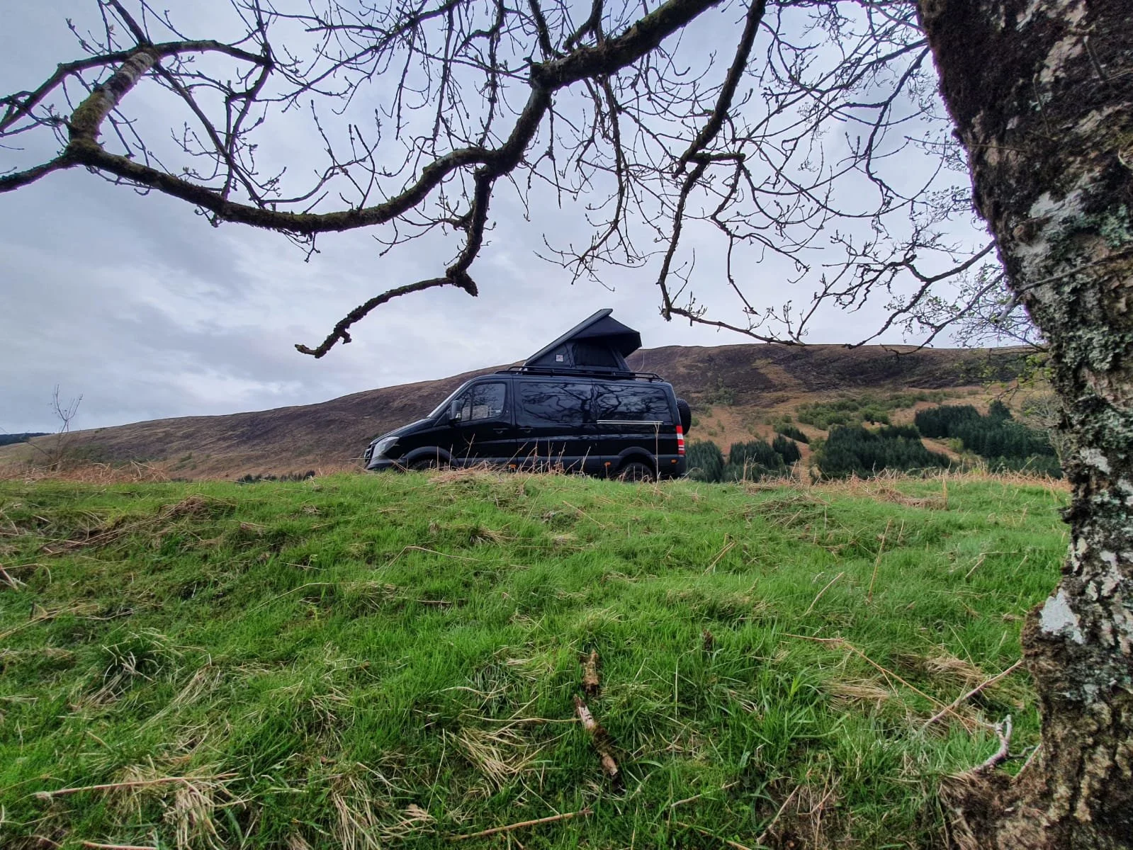 A black camper van parked on a grassy hill with a mountainous landscape in the background, seen through the branches of a leafless tree.