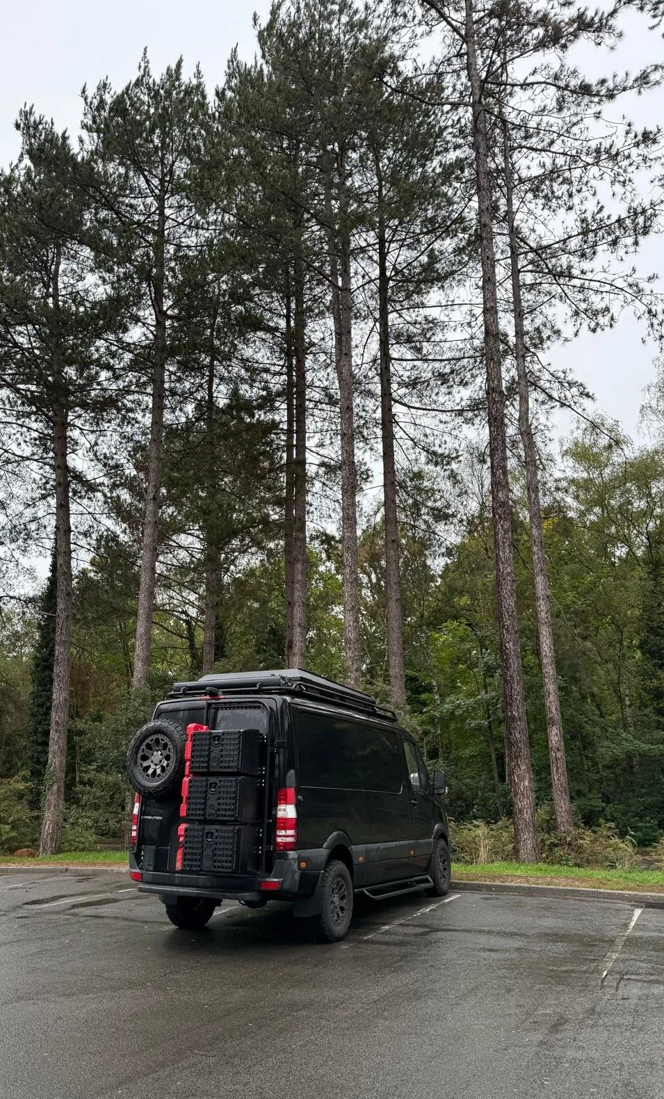 A black van parked in a forested area with tall pine trees and an overcast sky.