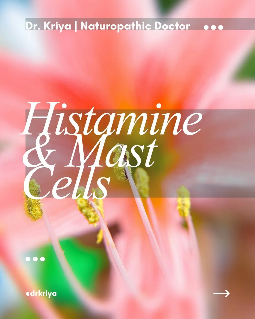 If you&rsquo;re reacting to different triggers, there may be a reason that involves histamine and your mast cells.

Mast cell conditions may be difficult to recognize as symptoms can affect multiple body systems and standard allergy testing may be no