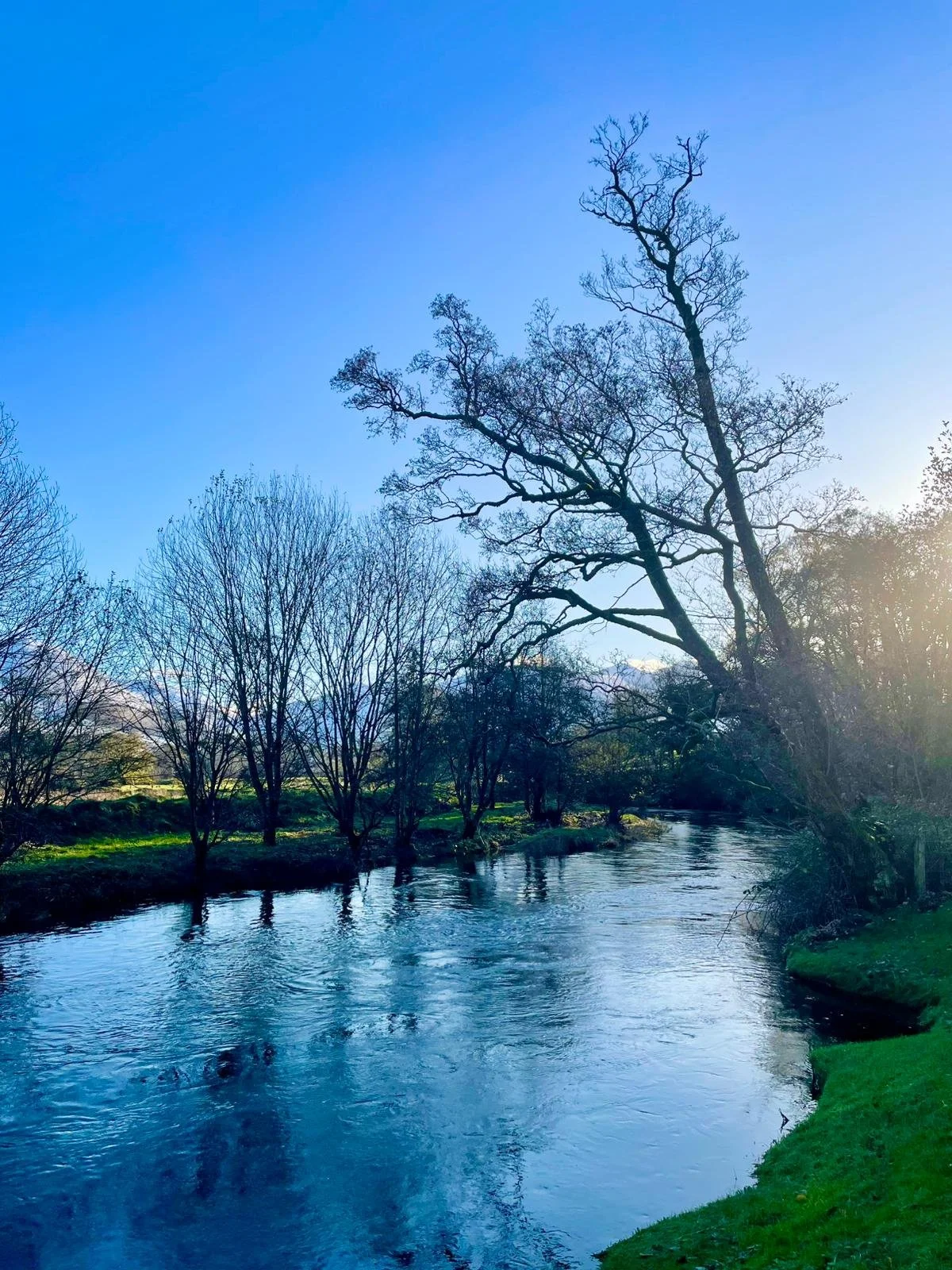 A peaceful river flows through a natural landscape with leafless trees on the banks, under a clear blue sky, with sunlight illuminating the scene.