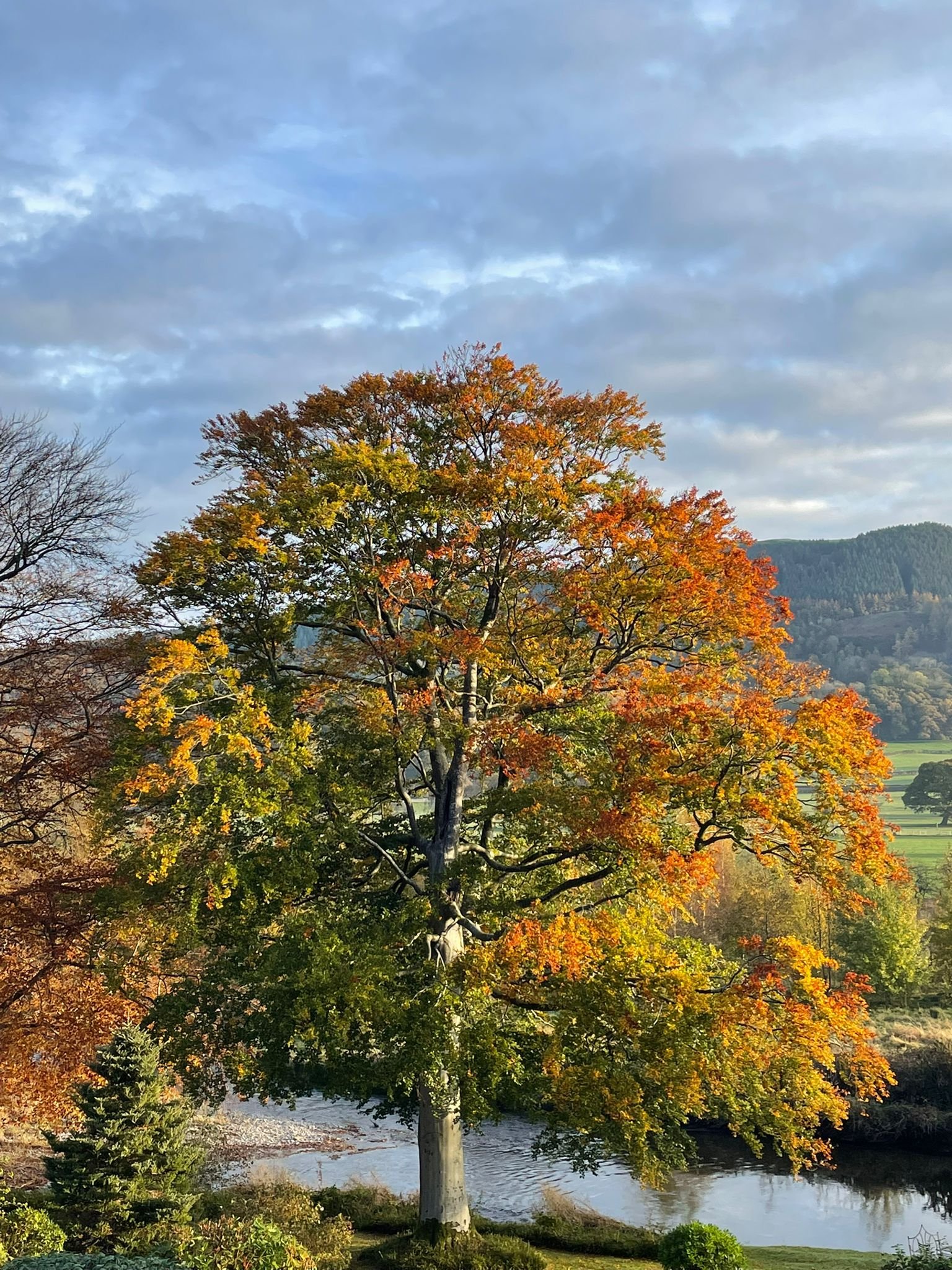 Welcome to the New Yew Tree Hall Website