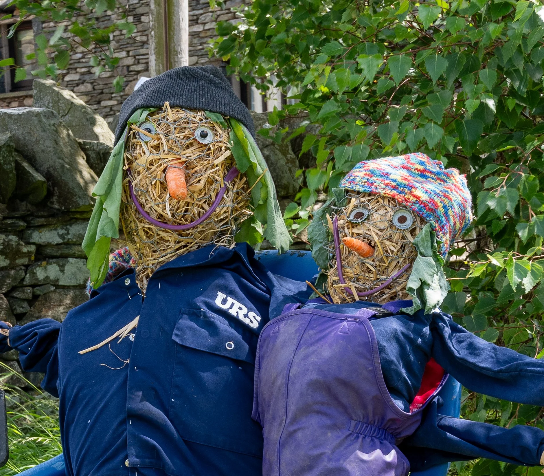 DSC_1555-1.jpg