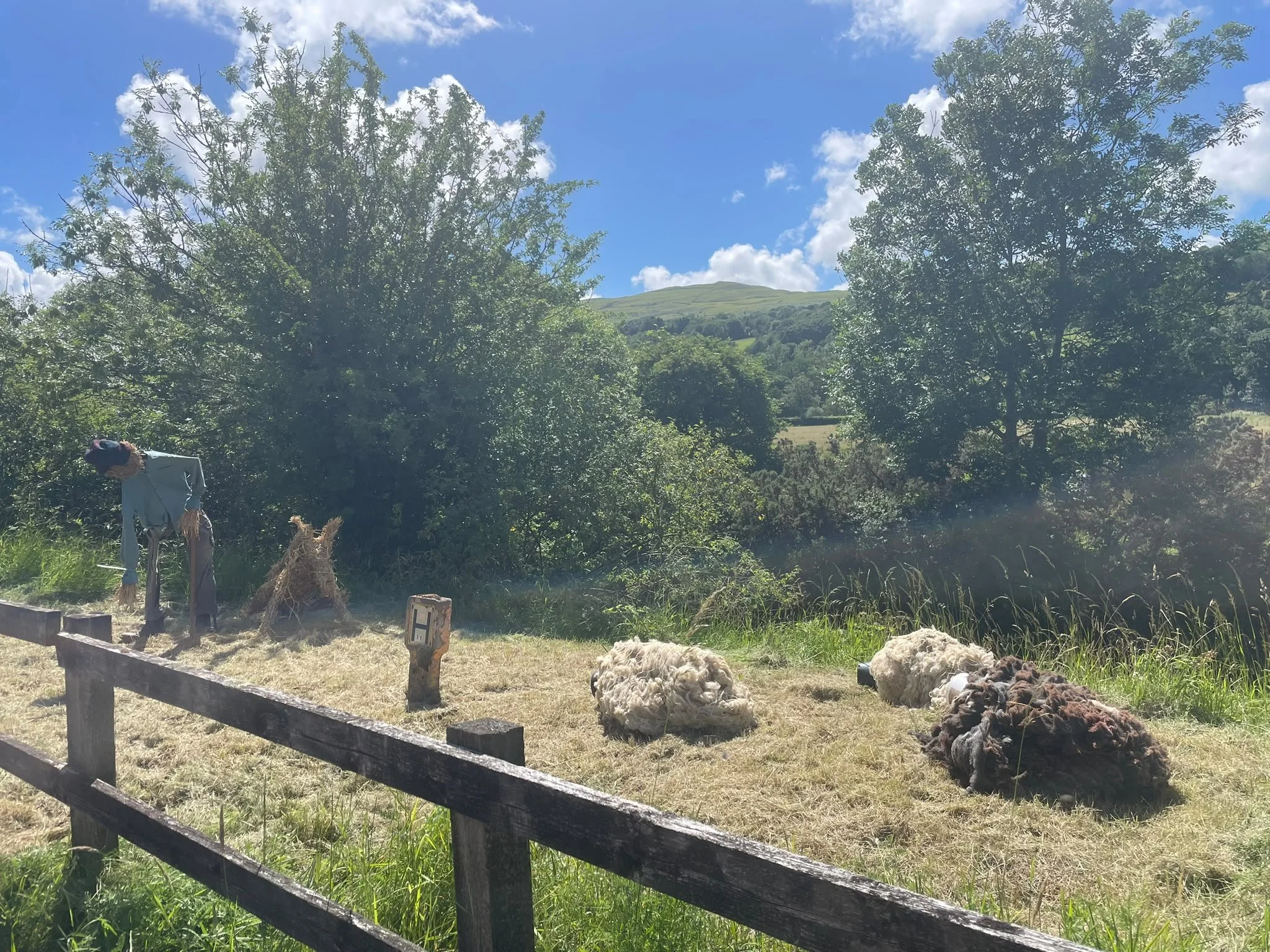 A rural scene with a blue sky, white clouds, green trees, and a hill in the background. There are sheep lying on the grass and one person working near a wooden fence.