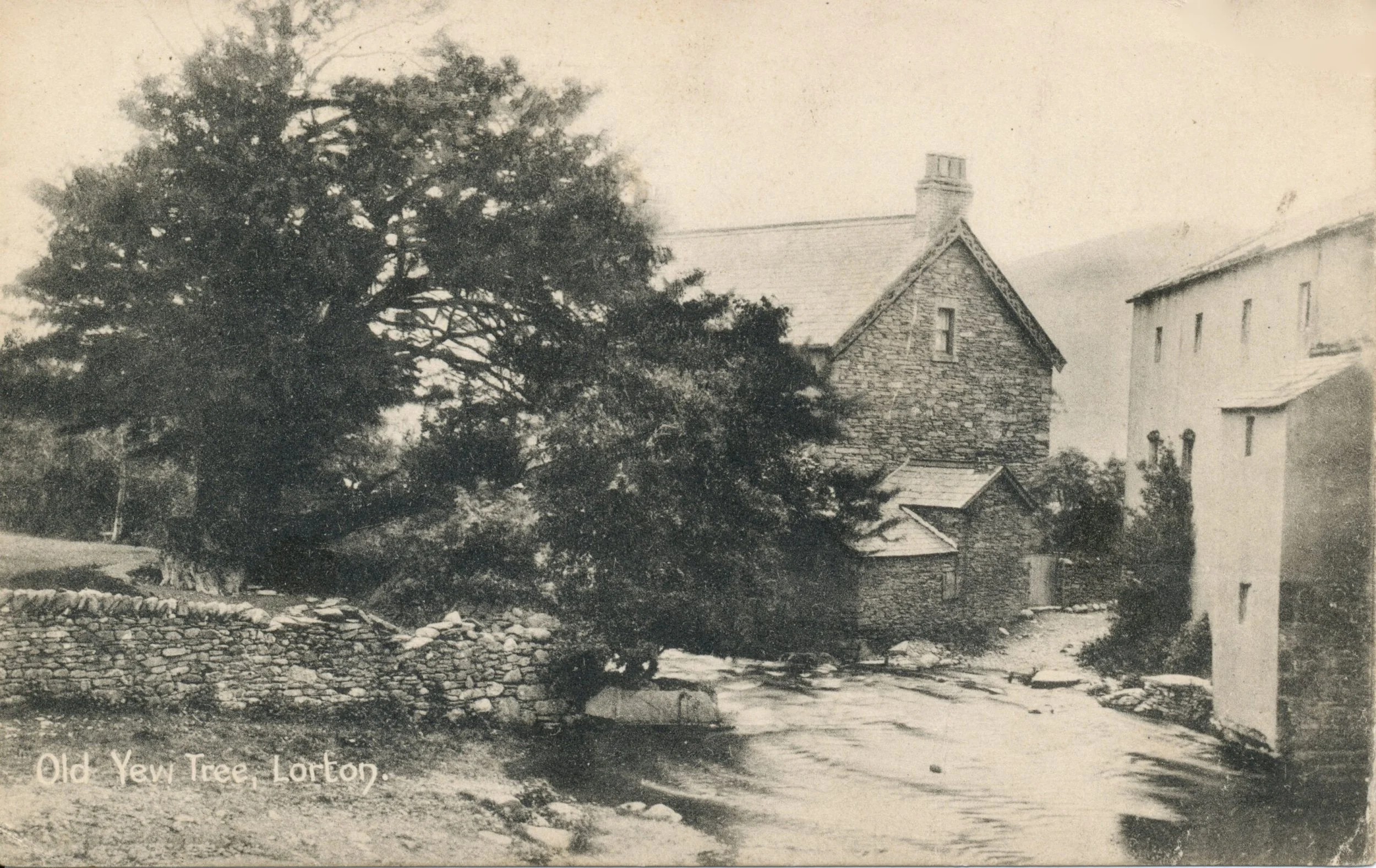 Back of YTH 1898 possibly.jpg