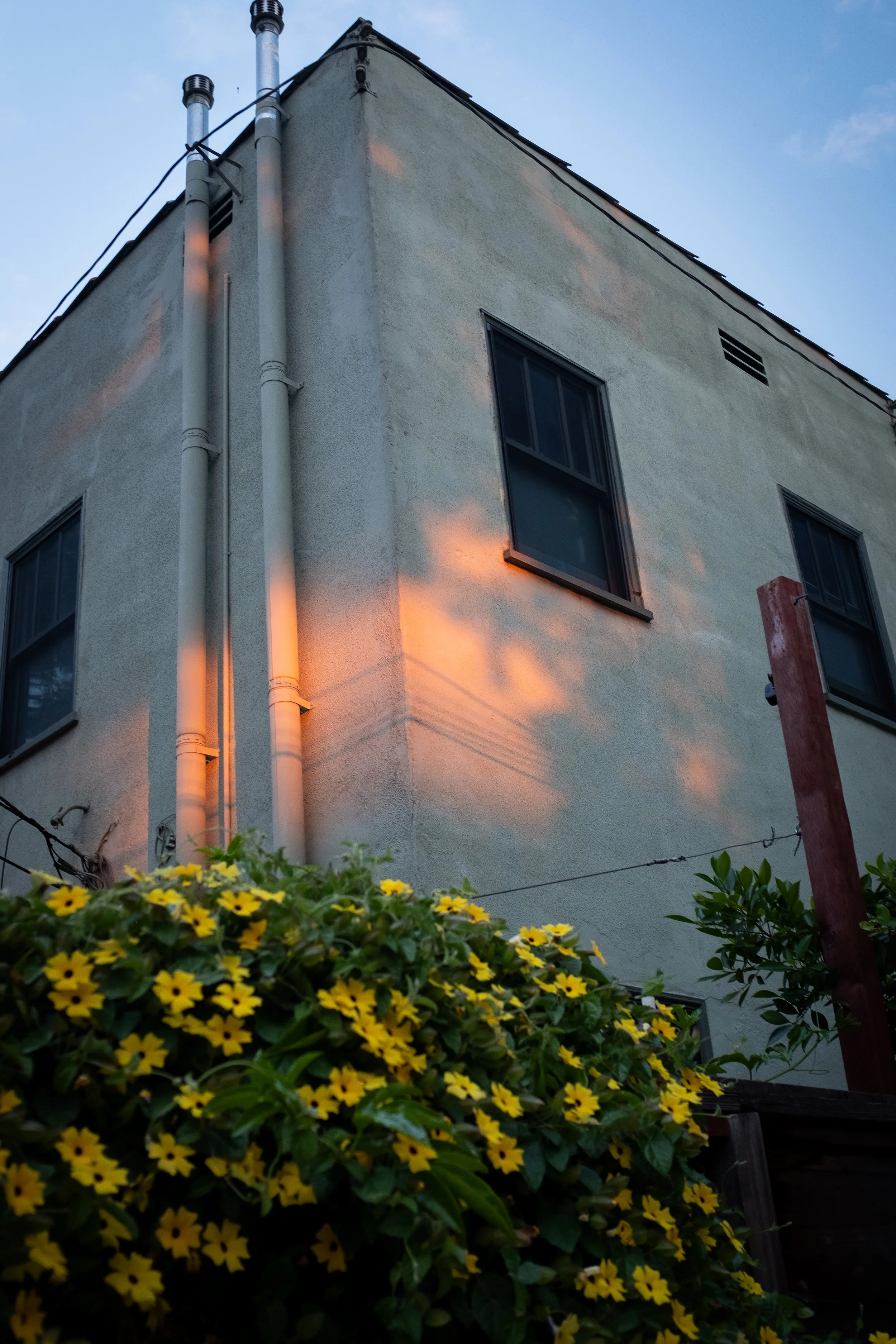 DSCF7012.jpg