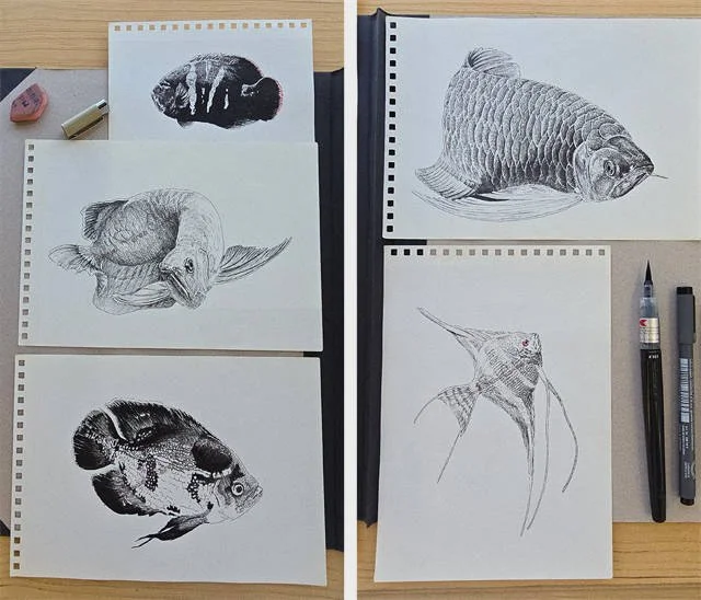 Ink drawings of fish for “Sleeping with the Fishes” by Daniel Perez Cabrera: preparatory sketches on paper, highlighting illustration process and stage before digital composition.
