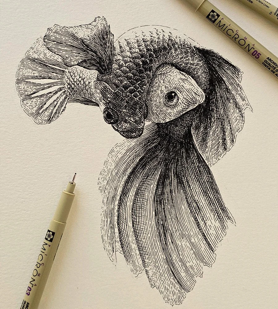 Scientific illustration