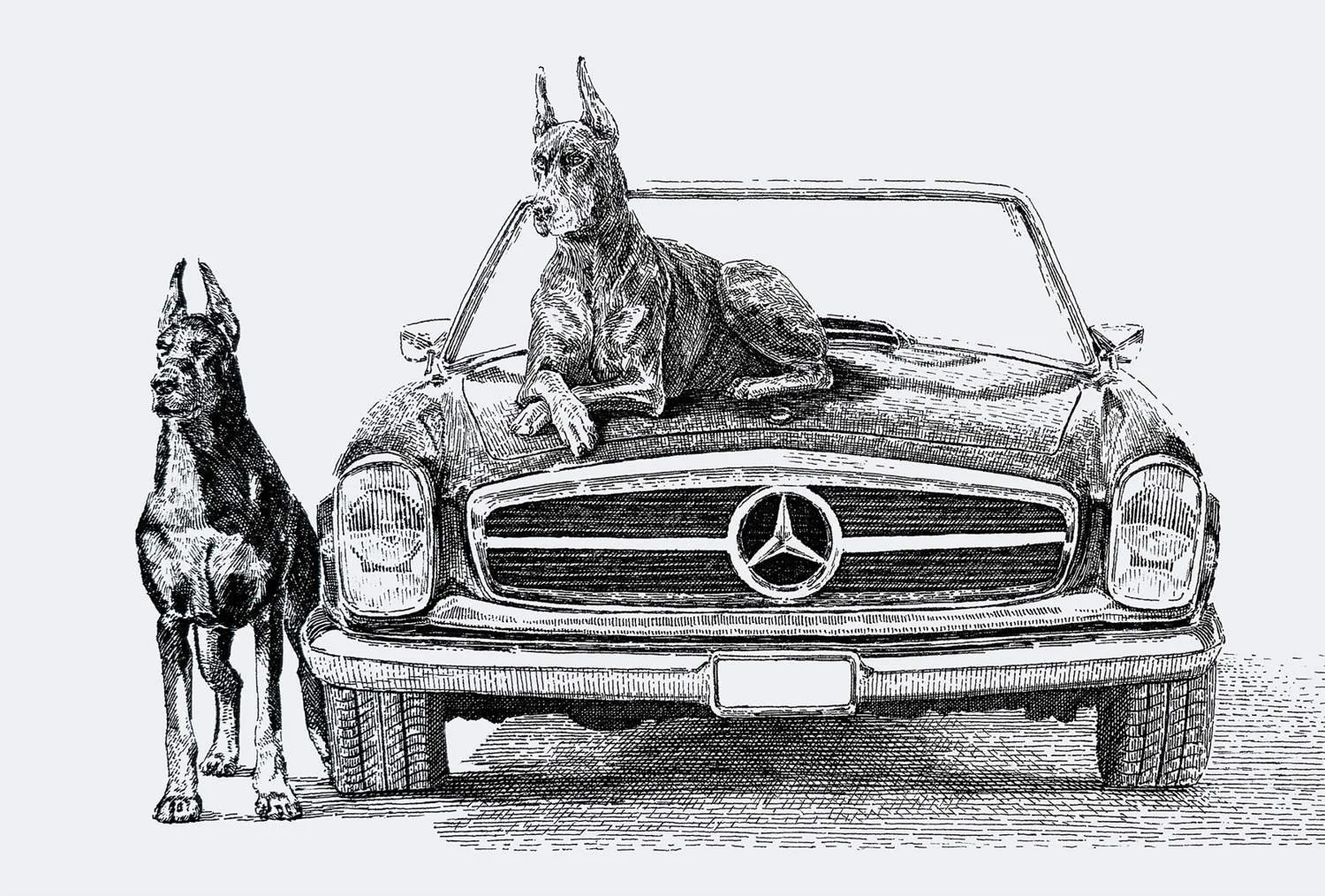 Ink drawing fragment “WHAT THE FCK ARE YOU LOOKING AT?” by Daniel Perez Cabrera: two Dobermans beside Mercedes-Benz 280 SL “Pagoda,” composition merging automotive elegance with symbolic gang imagery to reflect timeless design values.