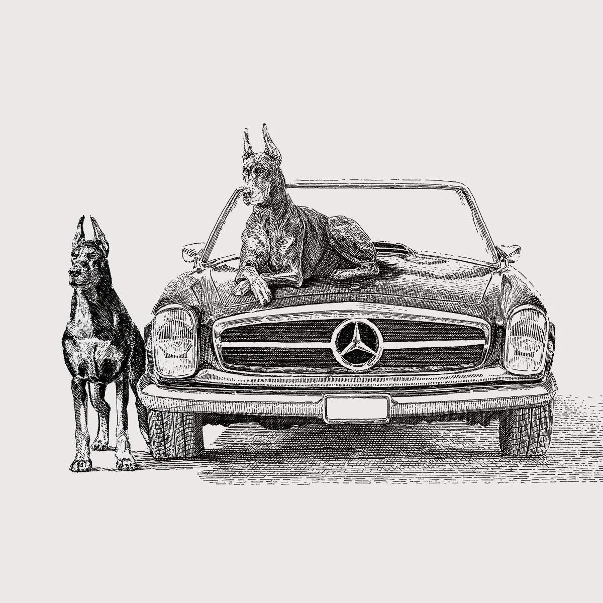 What the f*ck are you looking at?