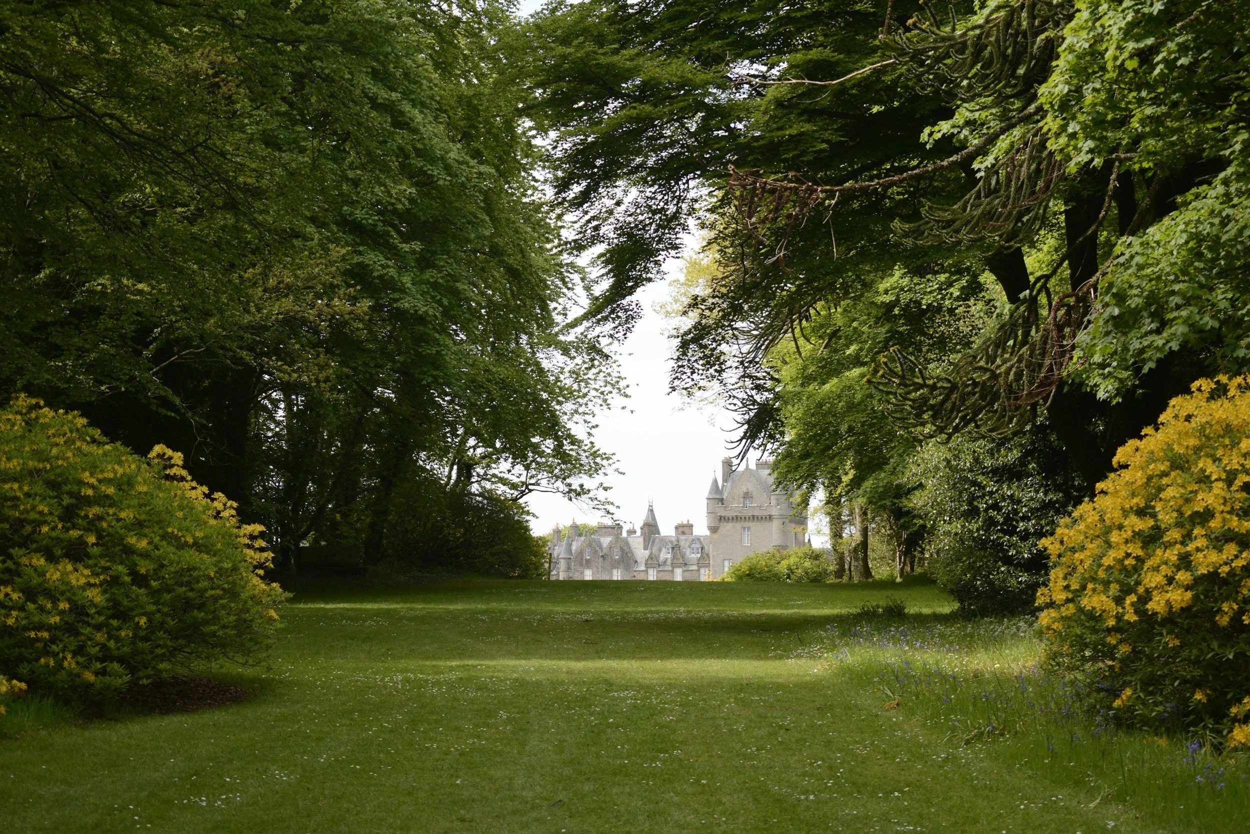 A scenic view of a lush green park with a castle in the distance, surrounded by tall trees and blooming bushes.