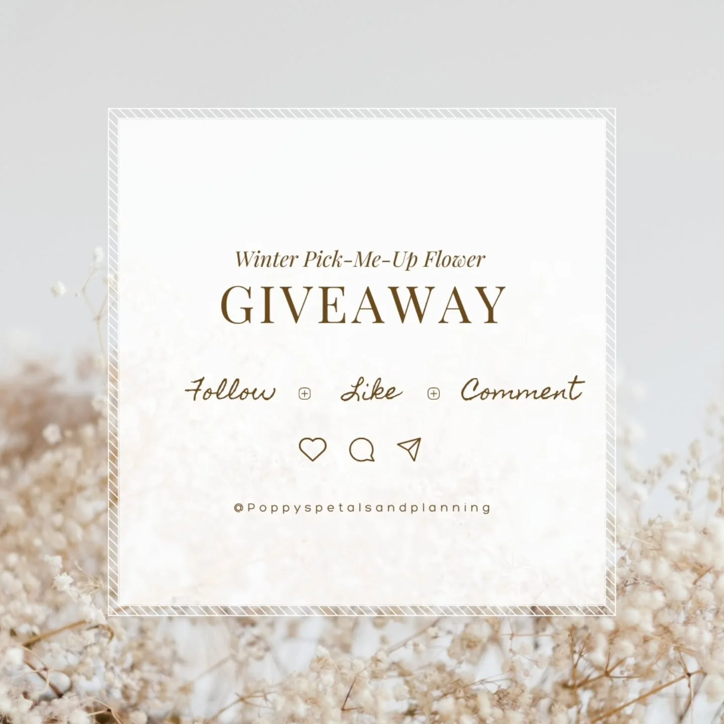 🌸 24-Hour Flash Flower Giveaway 🌸

It&rsquo;s been a cold week, a long one, and honestly&hellip; a rough stretch for a lot of us.
So if a little beauty and brightness could help lift someone&rsquo;s spirits, I&rsquo;d love to share these flowers 🤍