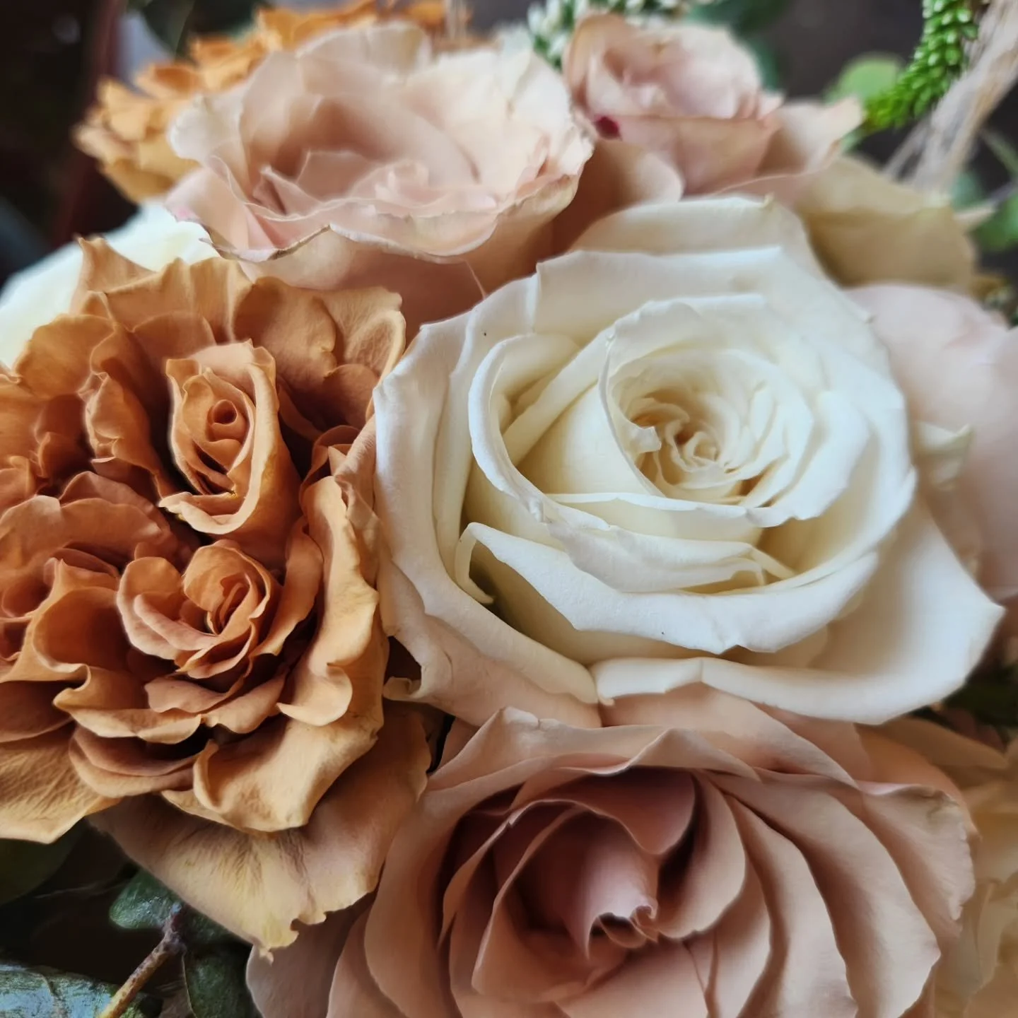 Counting down the days until wedding season begins again 🌸

We kick things off in just two weeks with a very special one, follow along, you're not gonna wanna miss this one 😉

Every wedding brings its own color palette, flowers, and vision &mdash; 