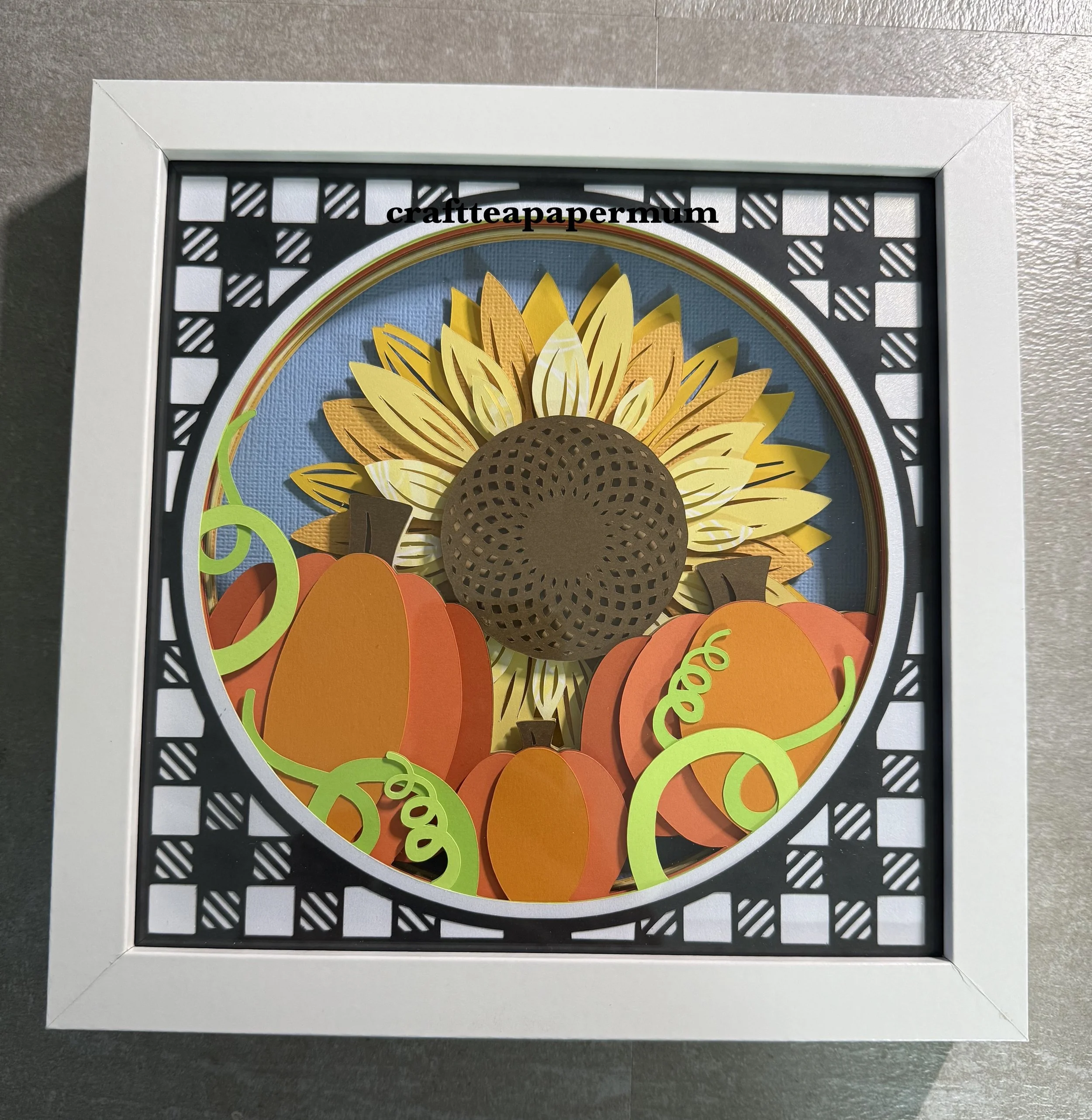 Sunflower & pumpkins