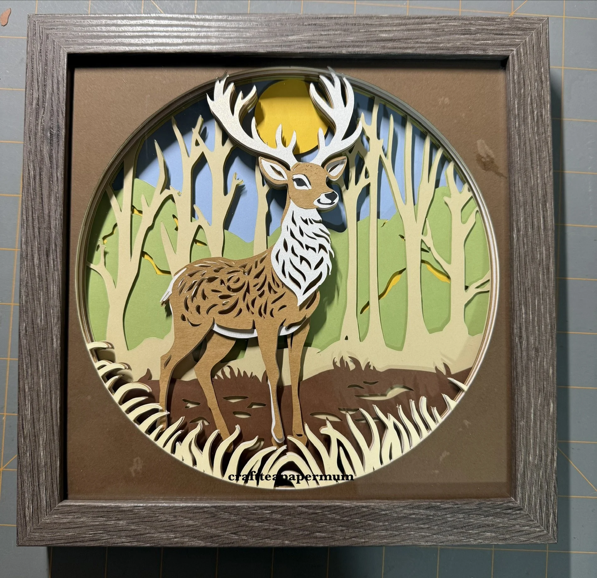 Deer in Woods