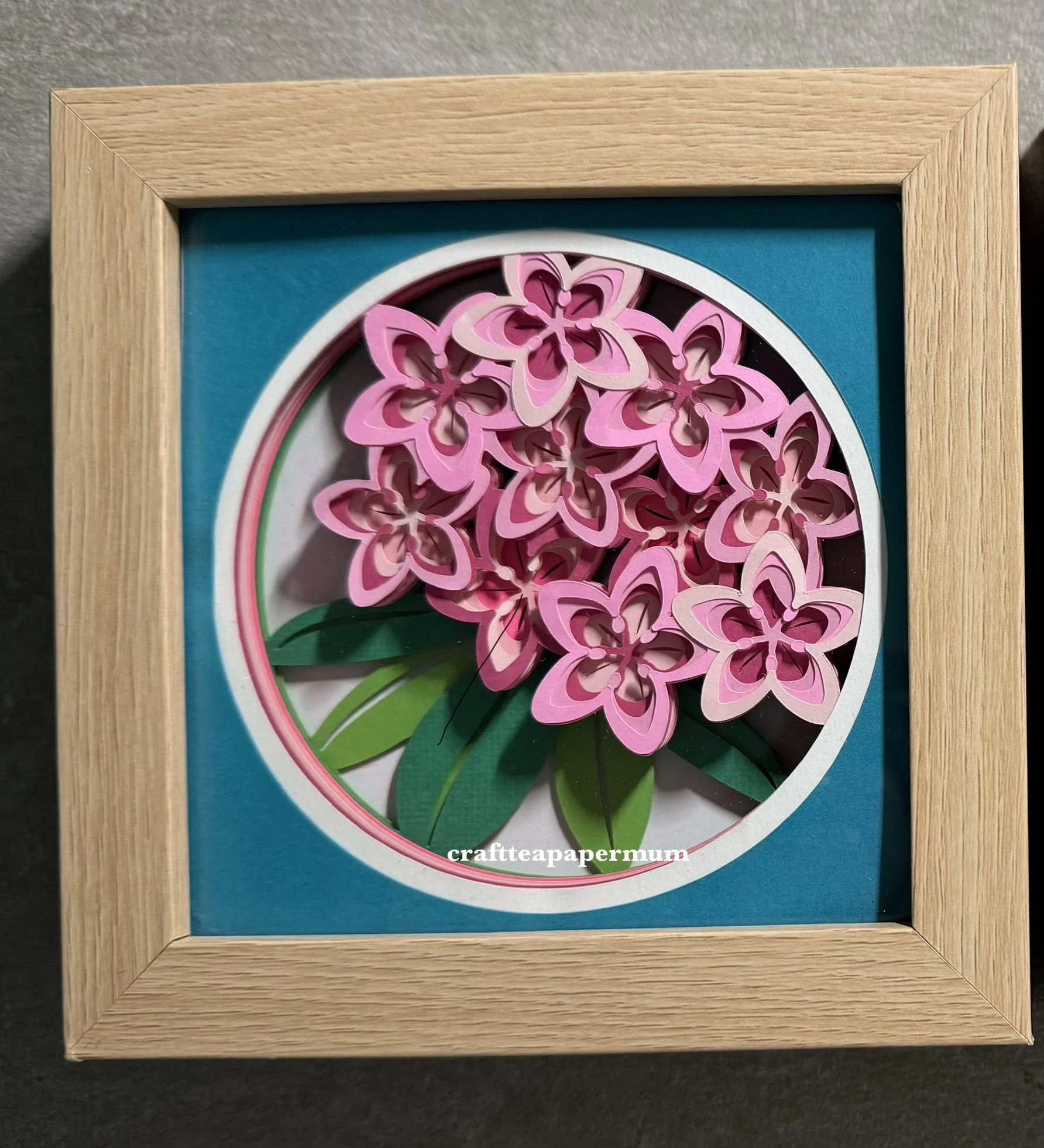 Rhododendron (mini)
