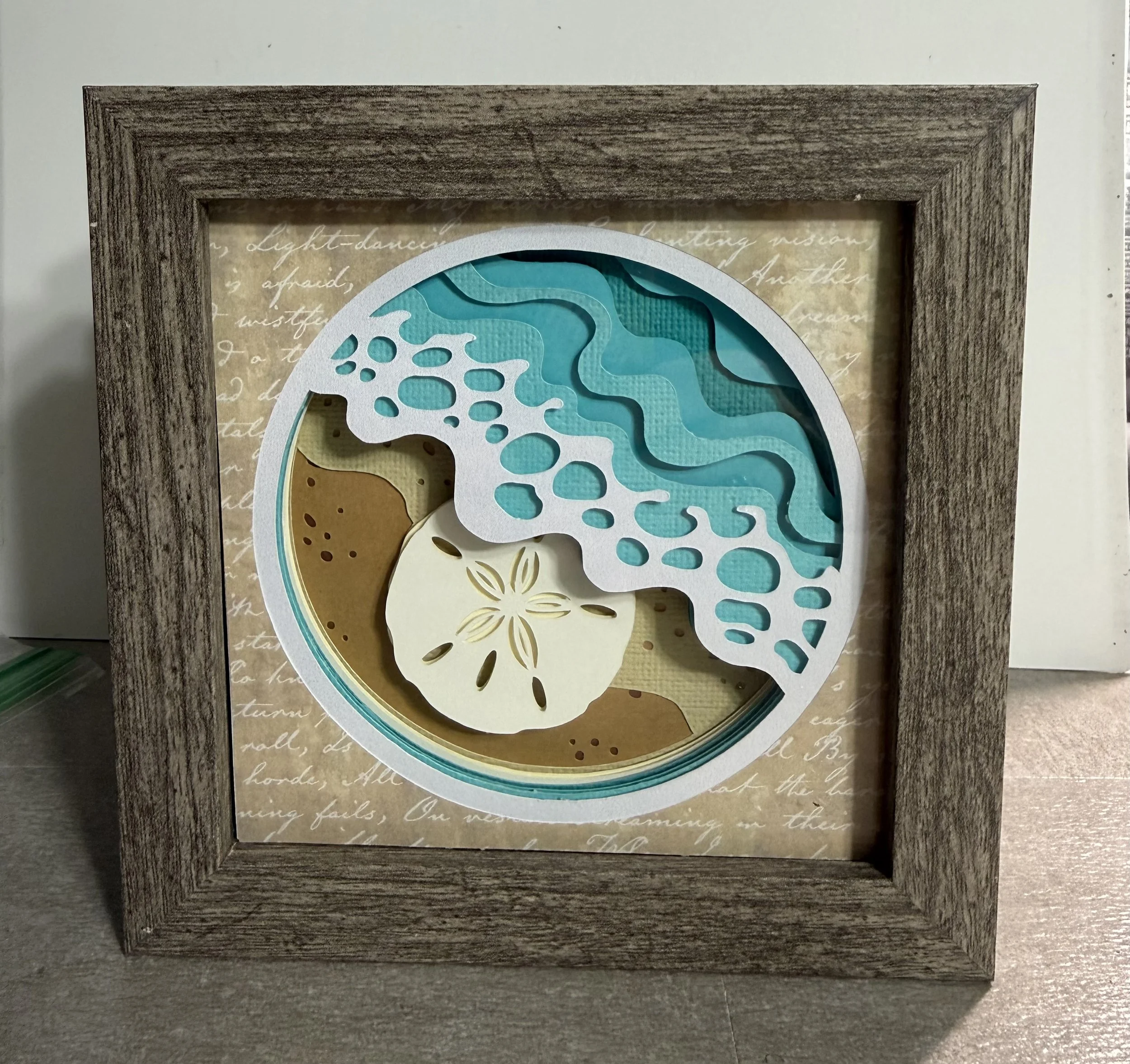 Sand Dollar  (mini)