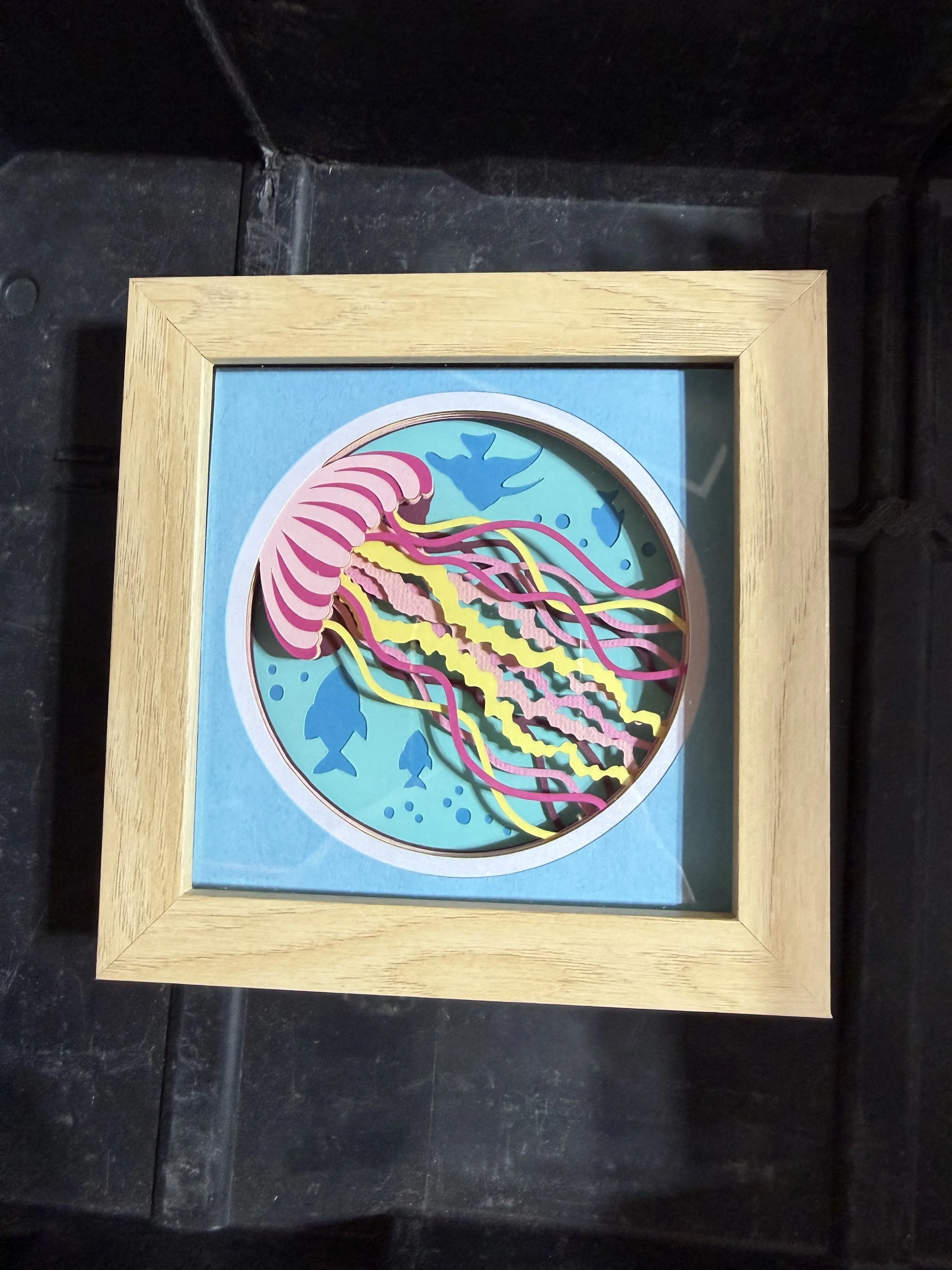 Jellyfish  (mini)