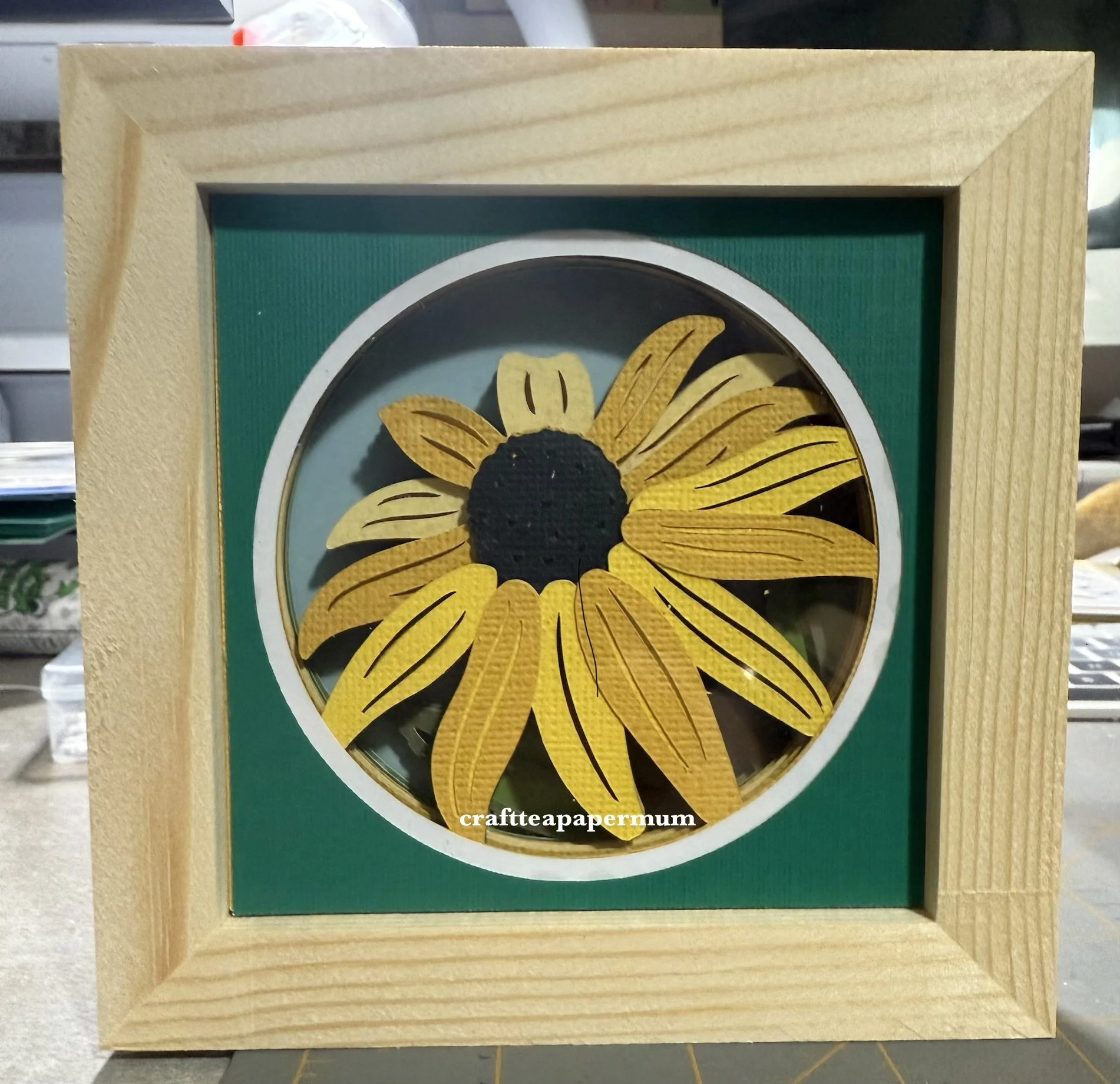 Black Eyed Susan (mini)