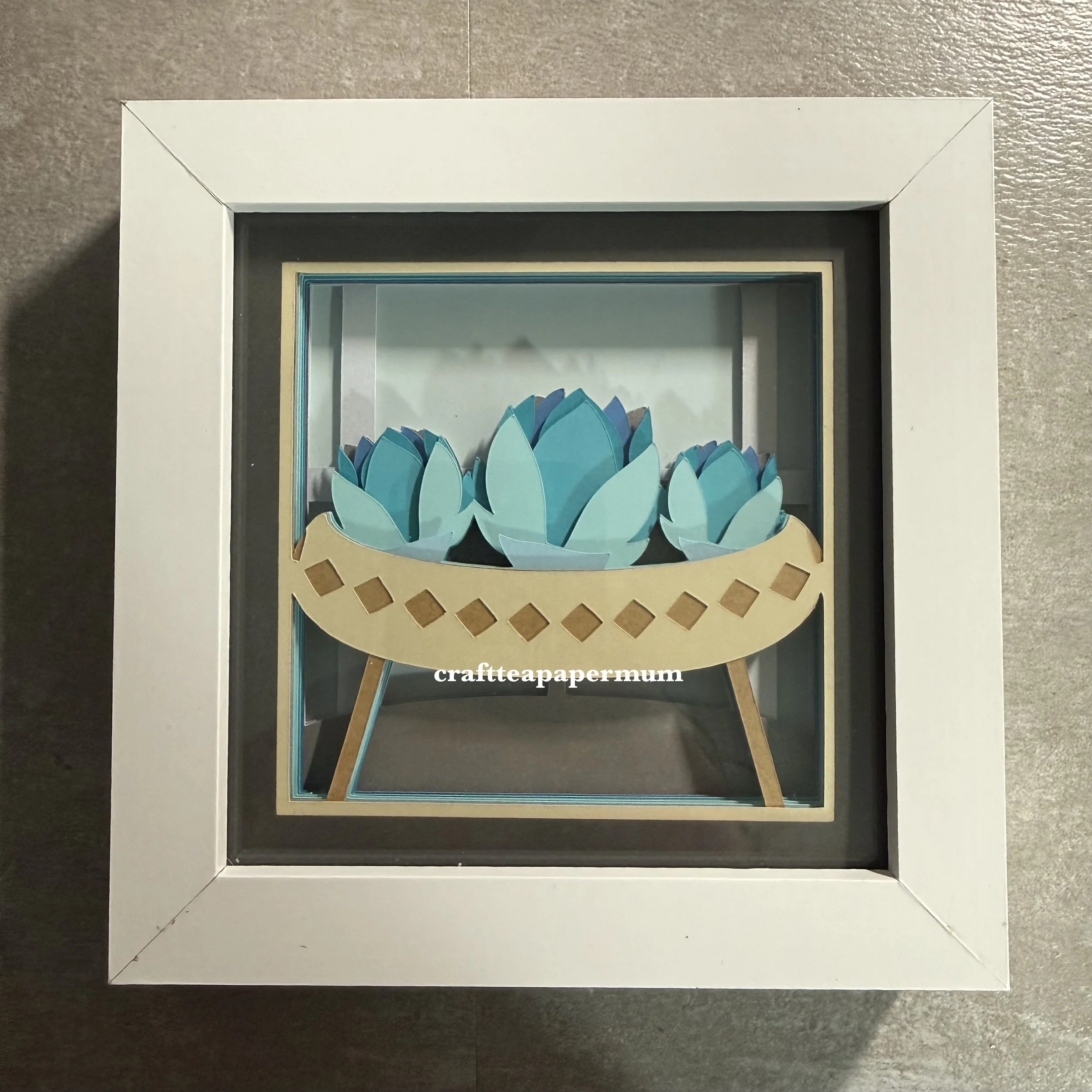 Succulents (Mini)