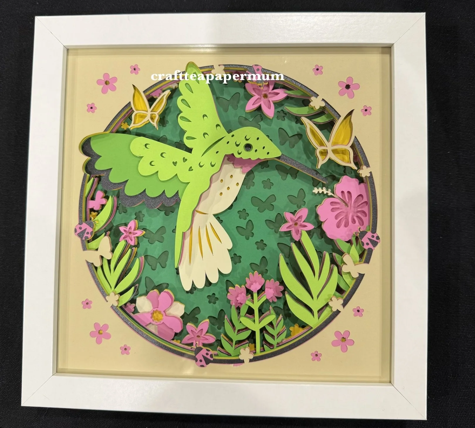 Hummingbird & More