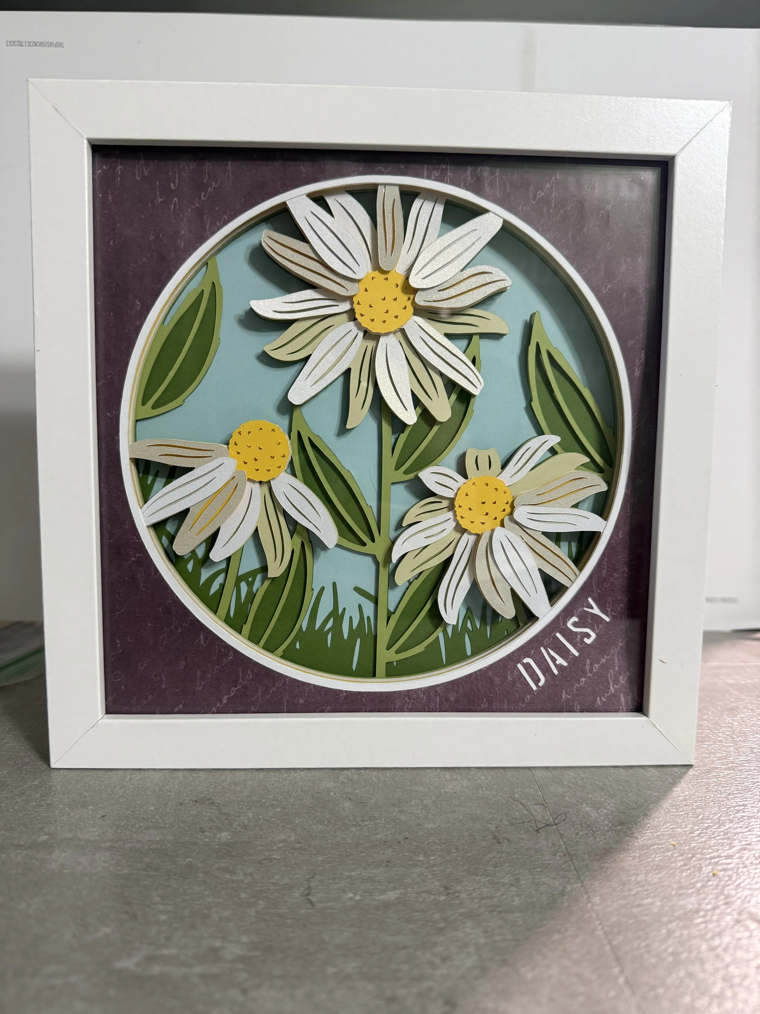Daisy
