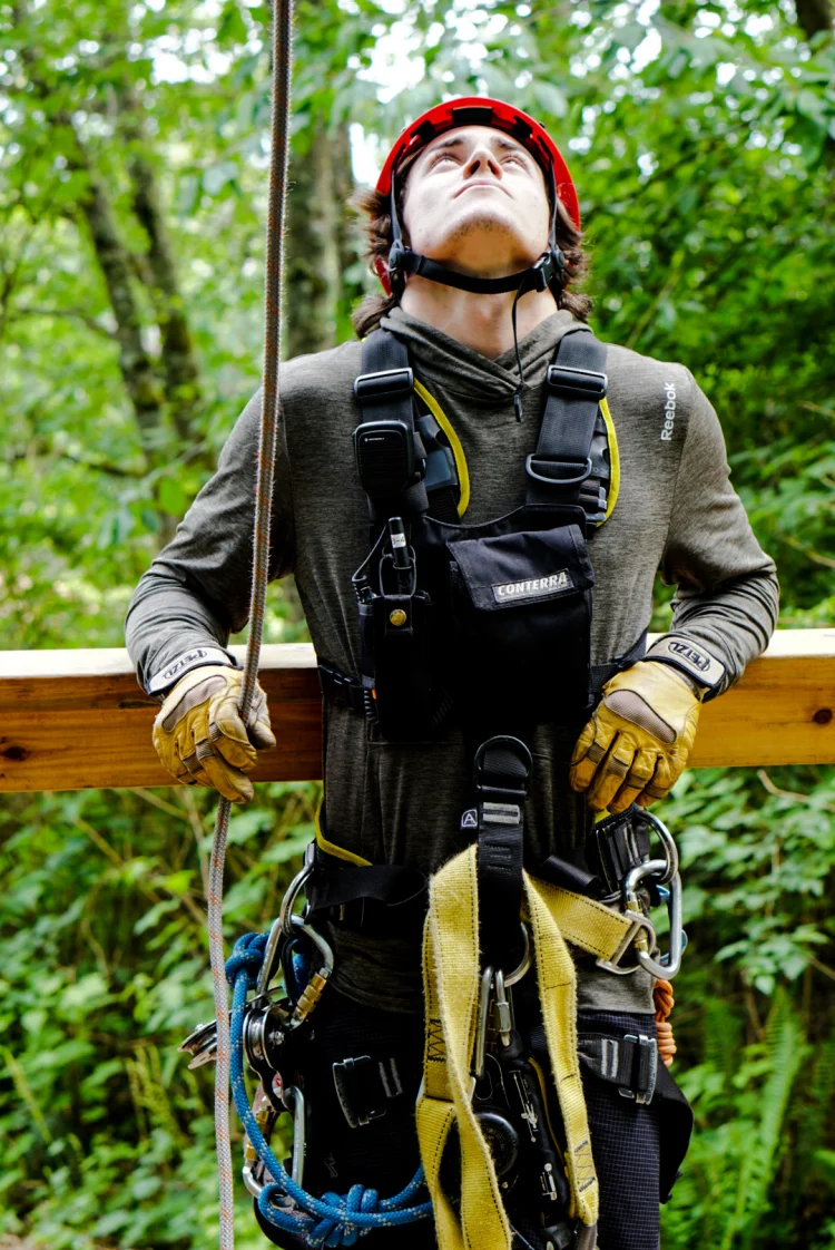 guide-looking-up.jpg