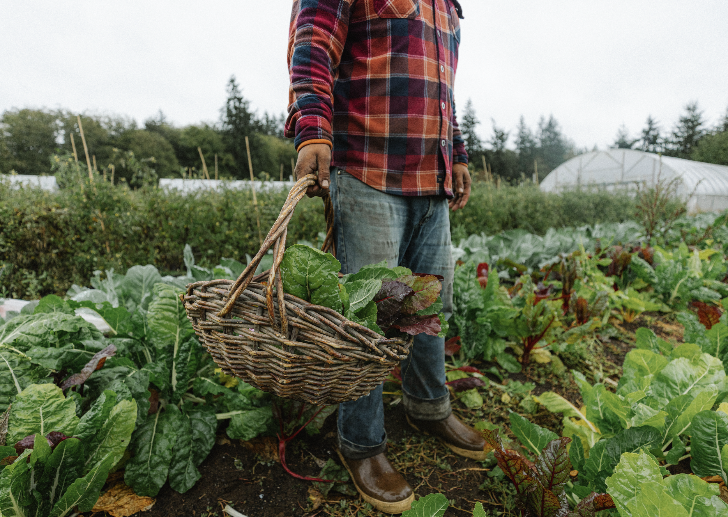 Sustainable Travel: Meaningful Ways to Celebrate Earth Month in the PNW
