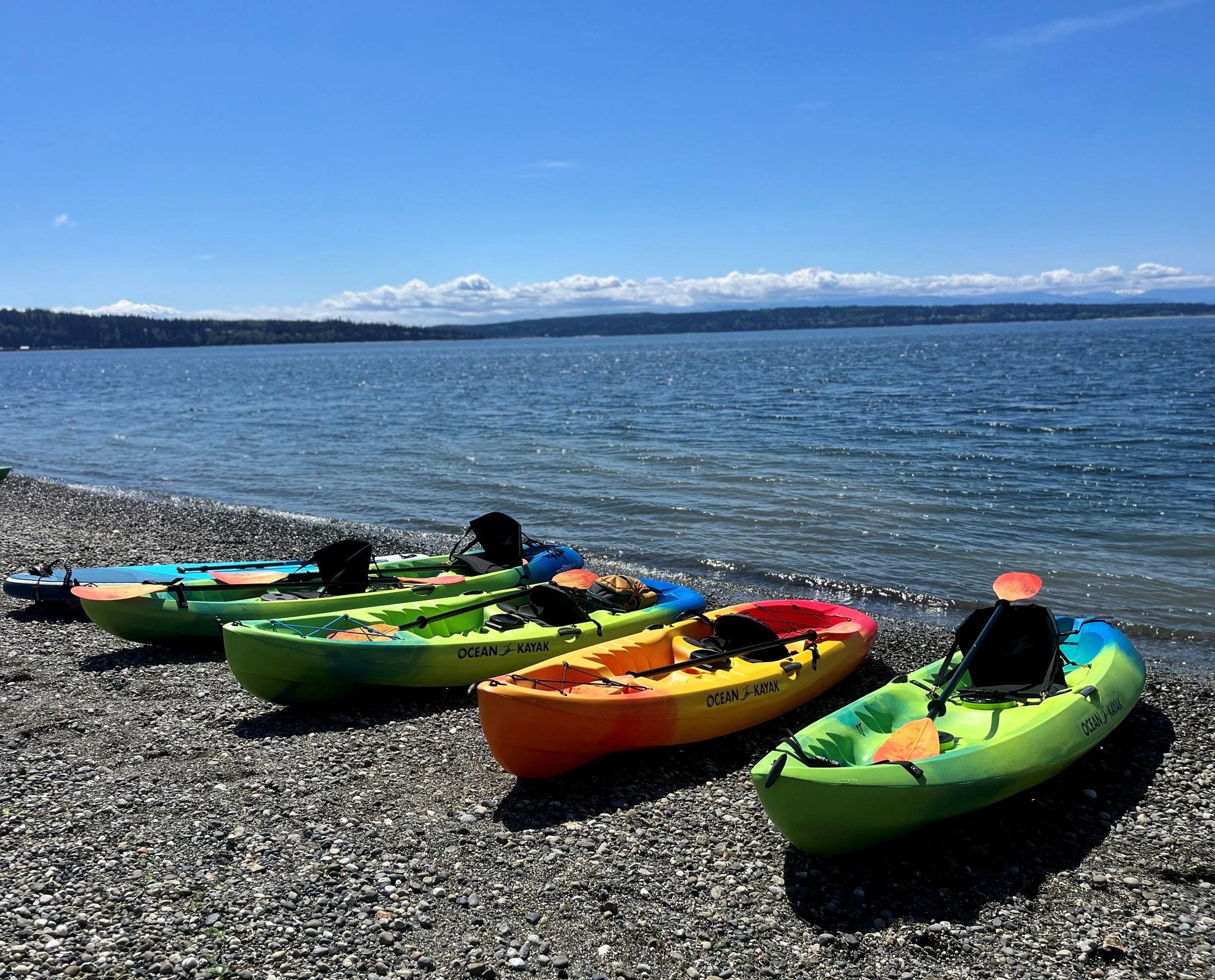 Boats on beach.jpg