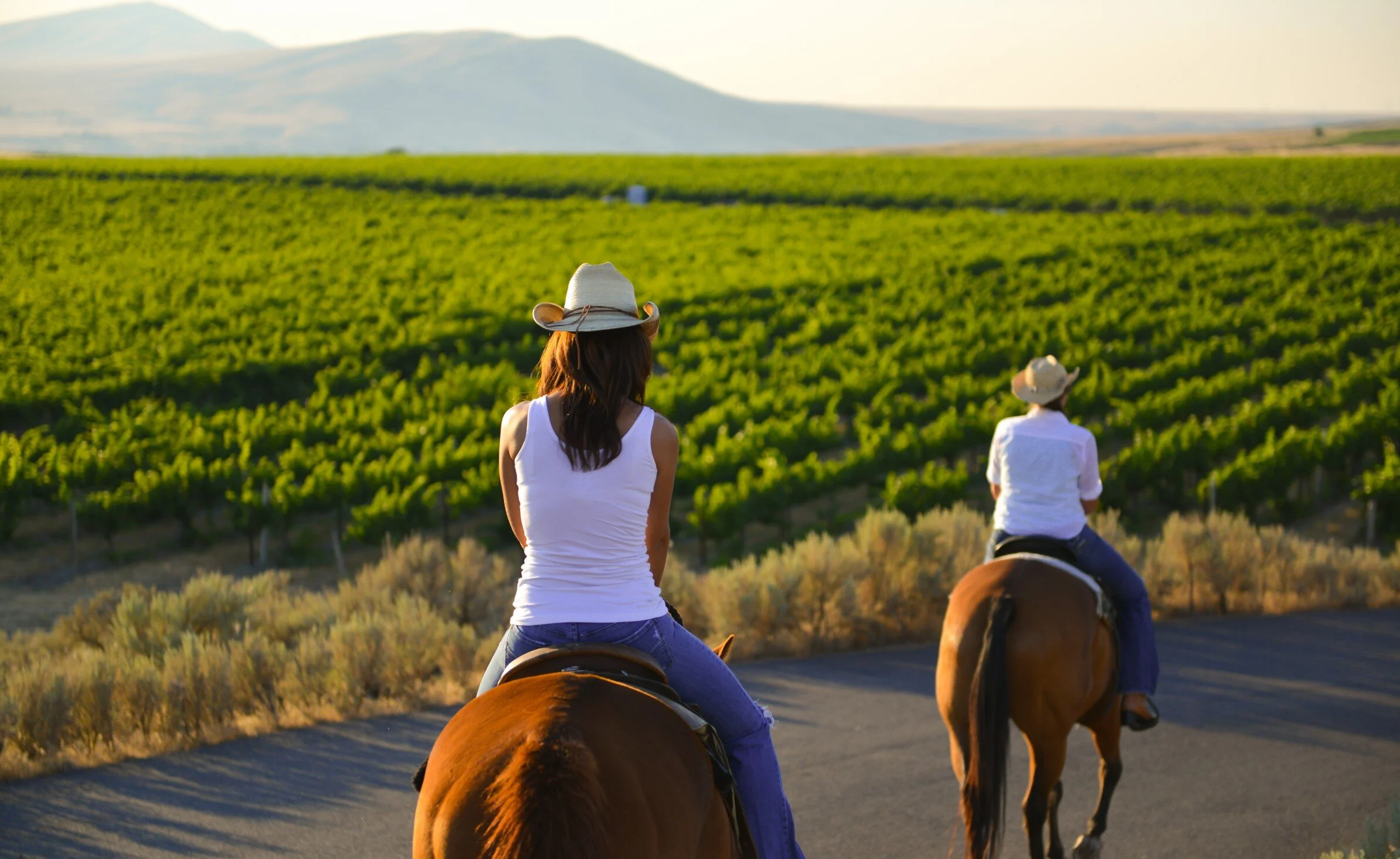 Four Ways to Crush a Visit to Washington Wine Country 