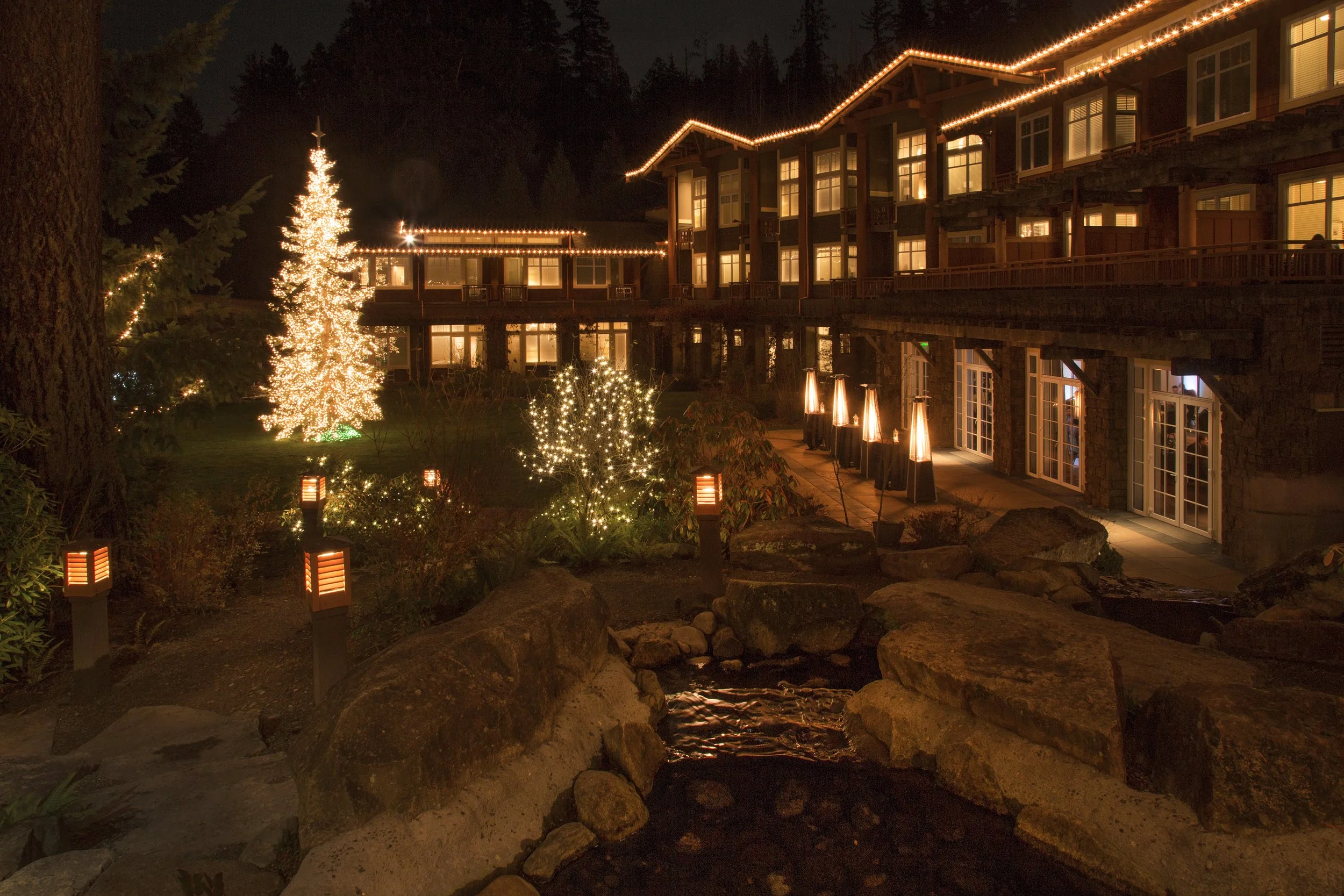 Cavenphoto_171231_8049.jpg