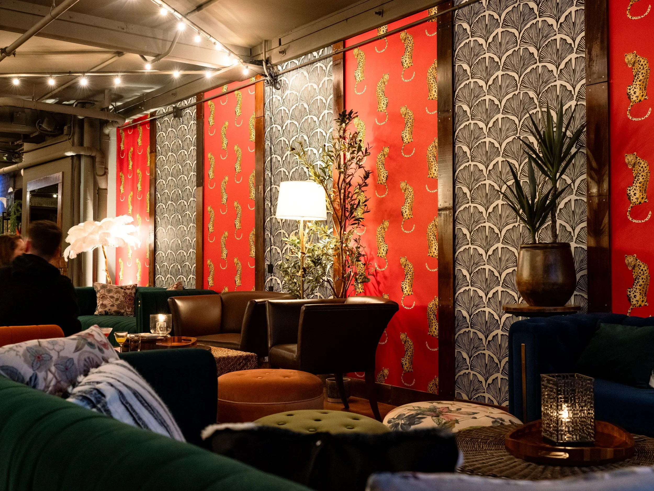 Karoo Café Opens in the Heart of Seattle: A Celebration of South African Culture and Community