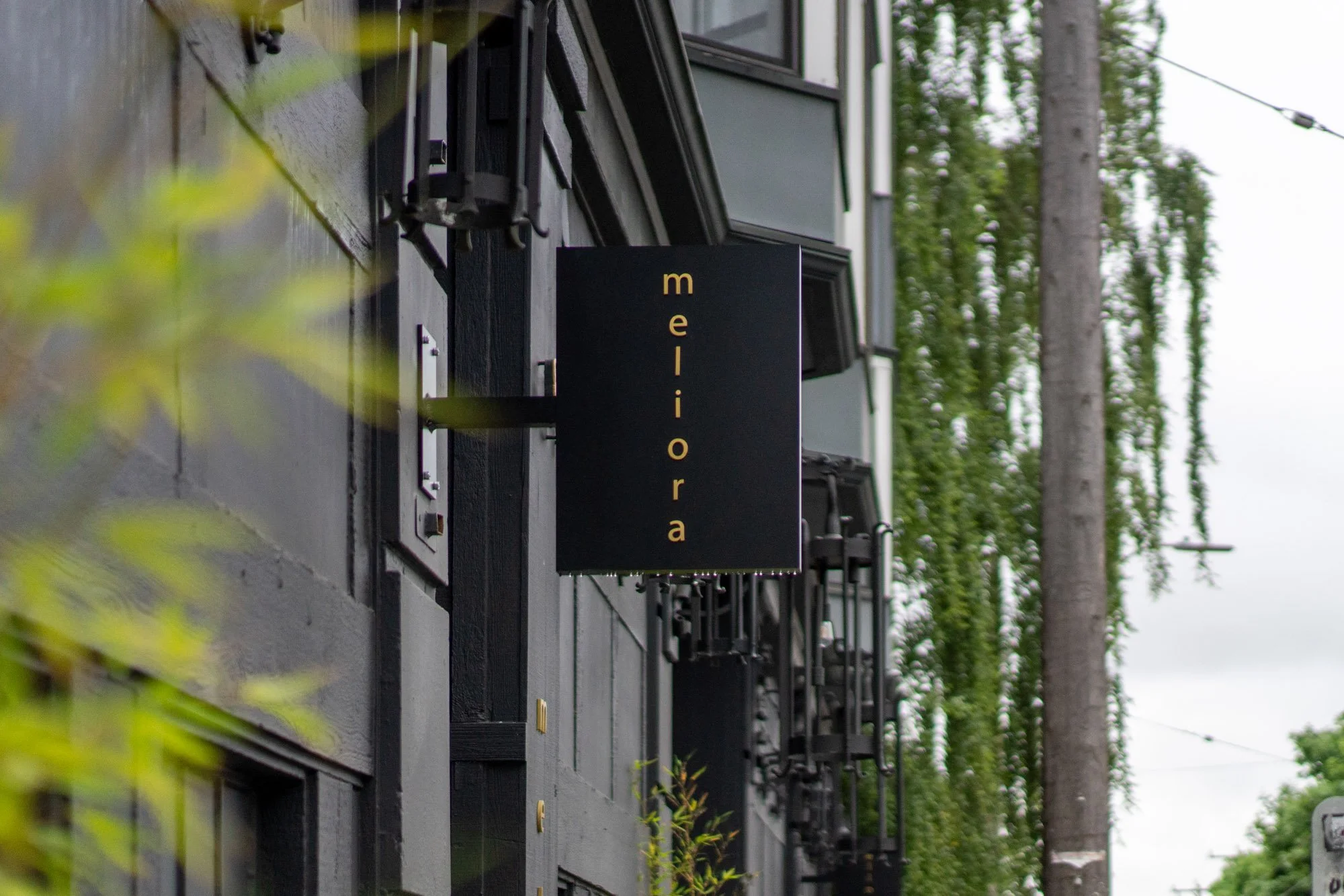 Meliora_SuziPratt_A7R01528.jpg