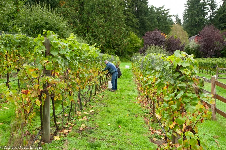 National Geographic Names Whidbey Island Top Place to Travel in September
