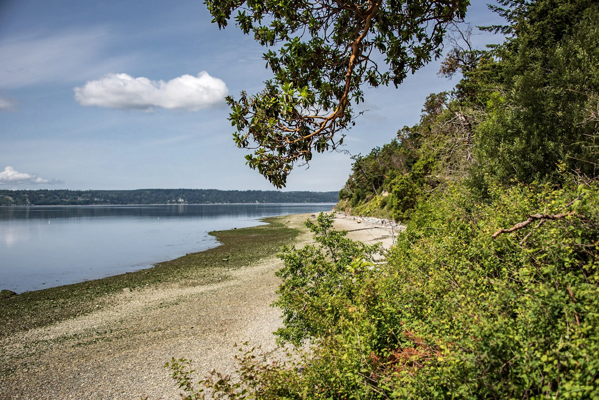 Three Ways to Explore WA (Virtually) For National Travel &amp; Tourism Week