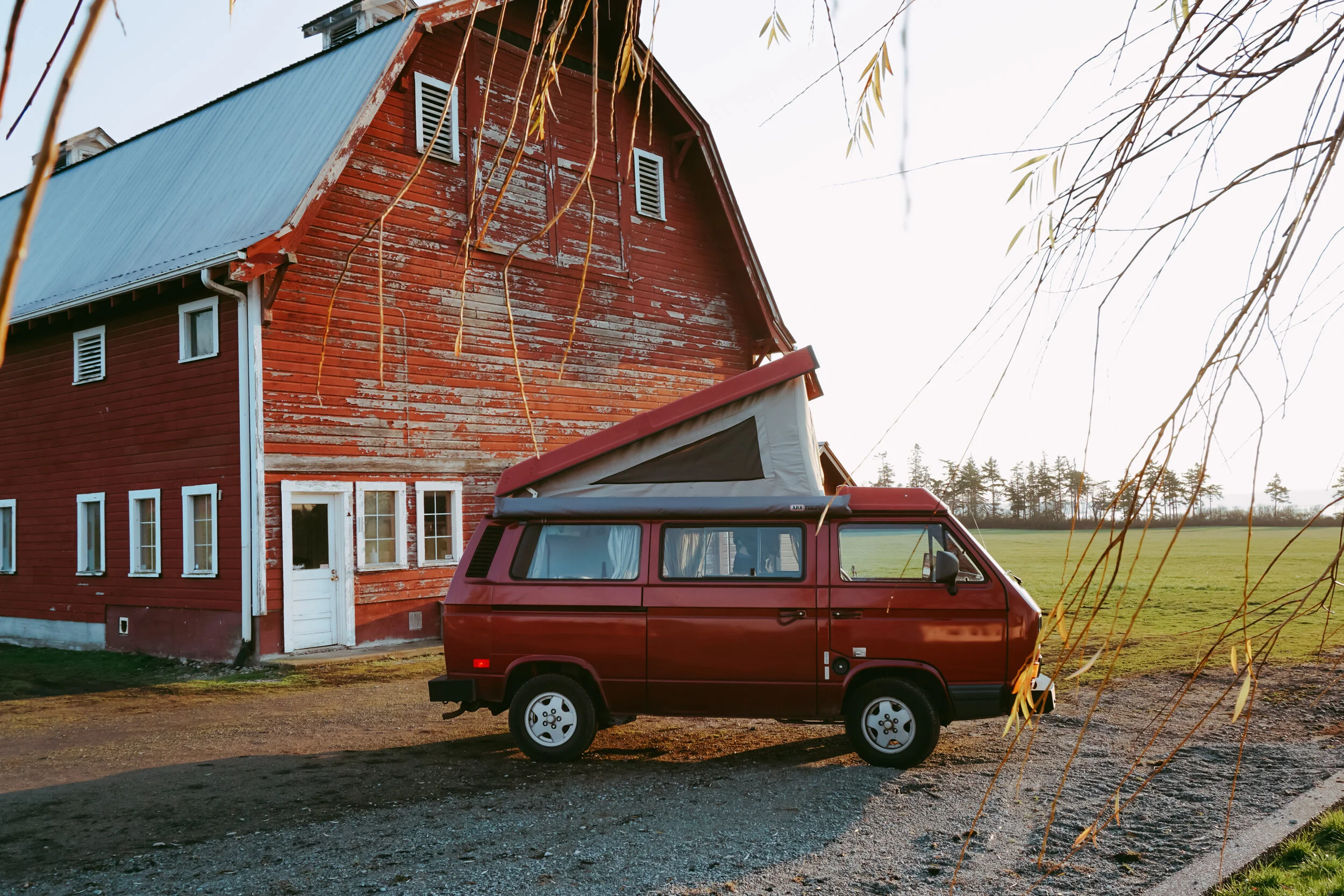 Peace-Vans-01659.JPG