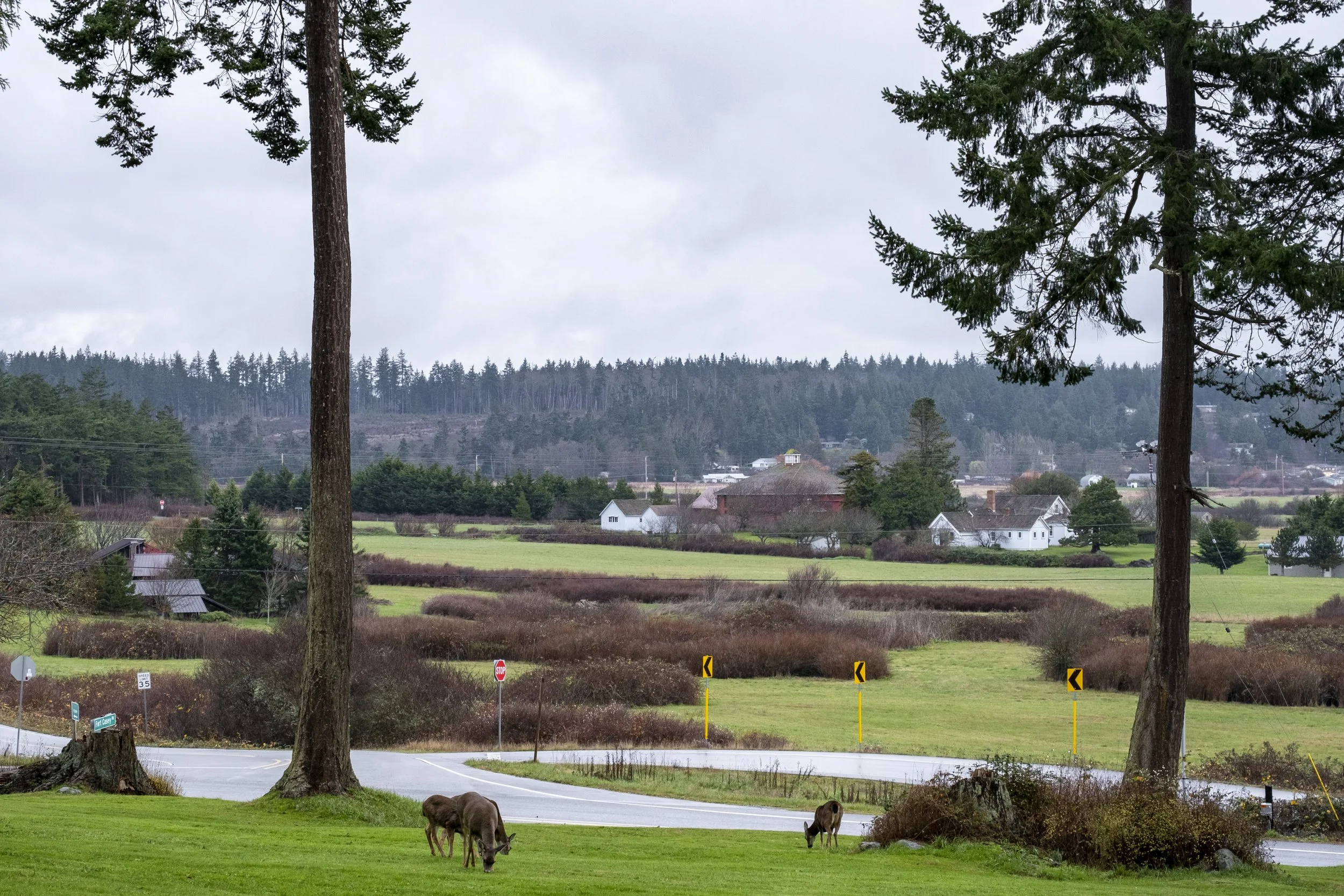 Whidbey Island Rural Scenes by Suzi Pratt.jpg